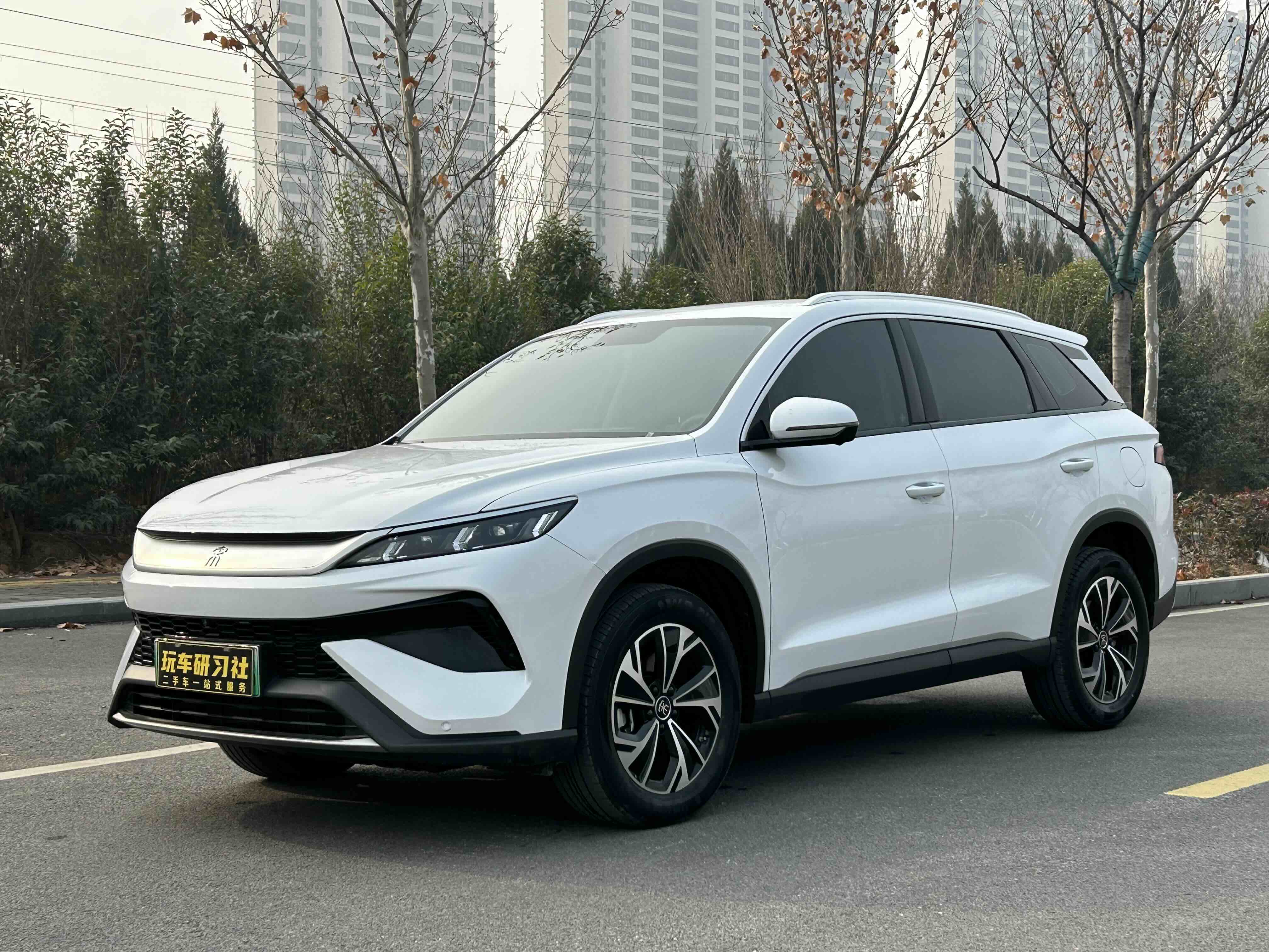 比亚迪 宋Pro新能源 2024 汽车图片 