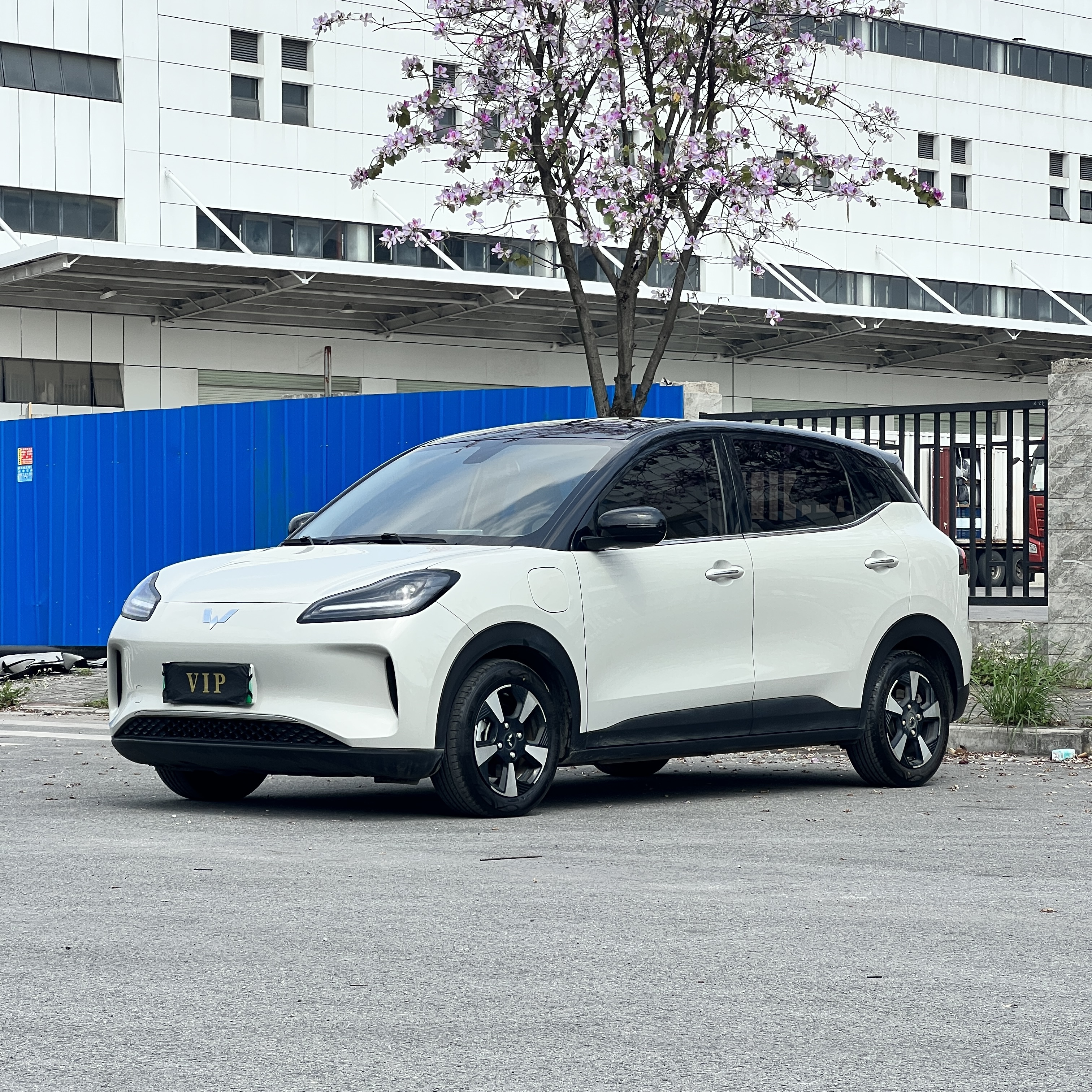 Wuling Binguo PLUS 2024 汽车图片 