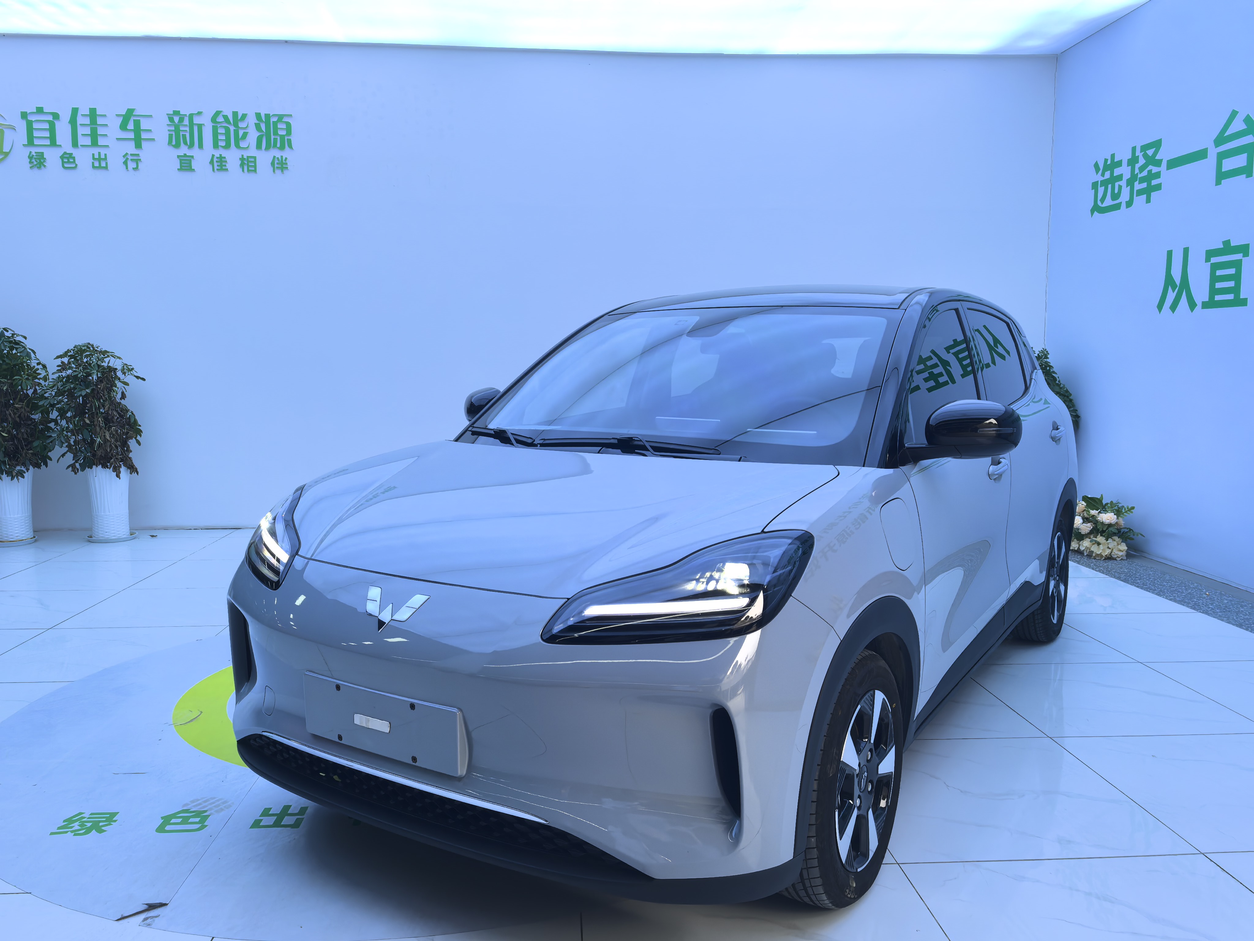 Wuling Binguo PLUS 2024 汽车图片 