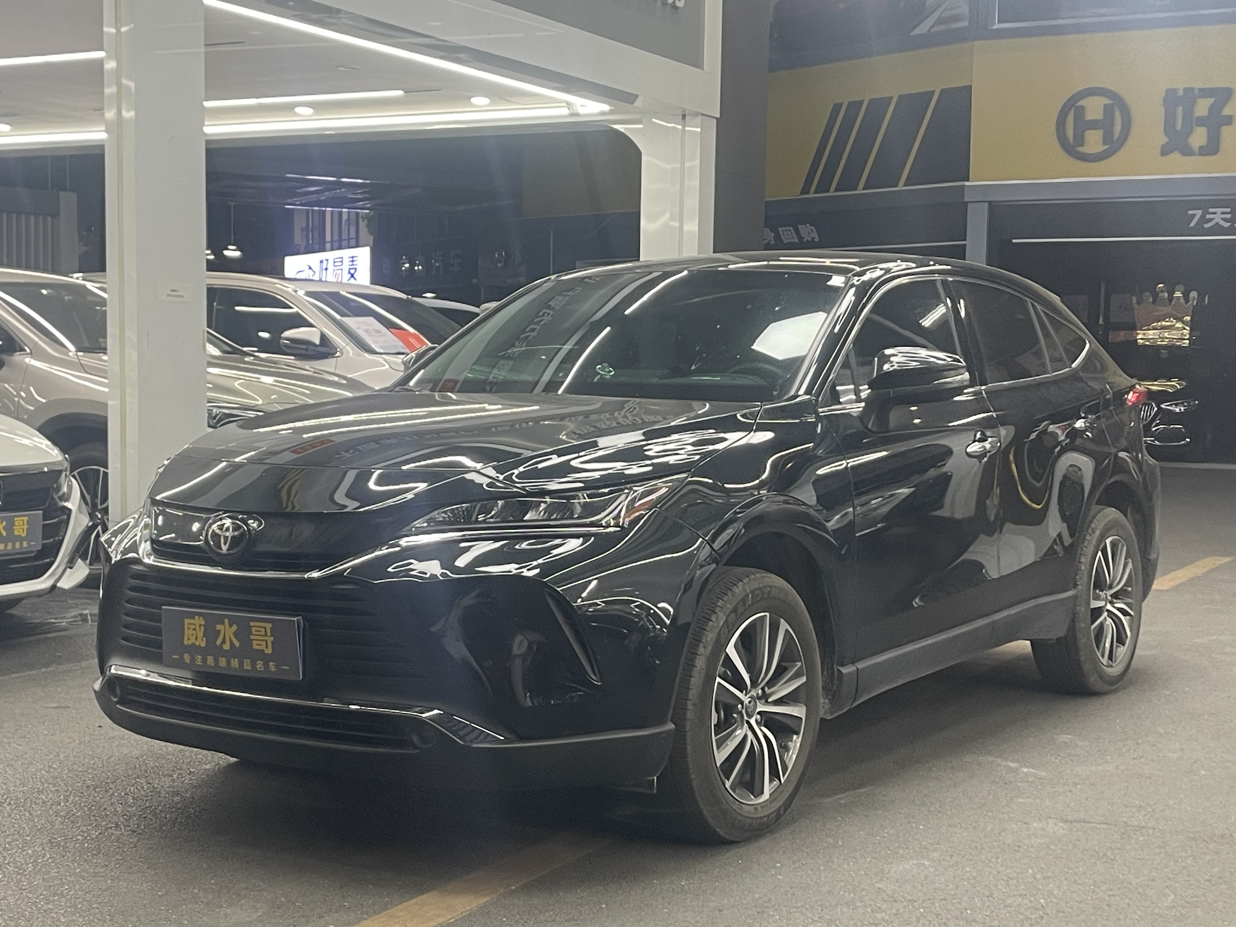 Toyota Harrier 2024 汽车图片 