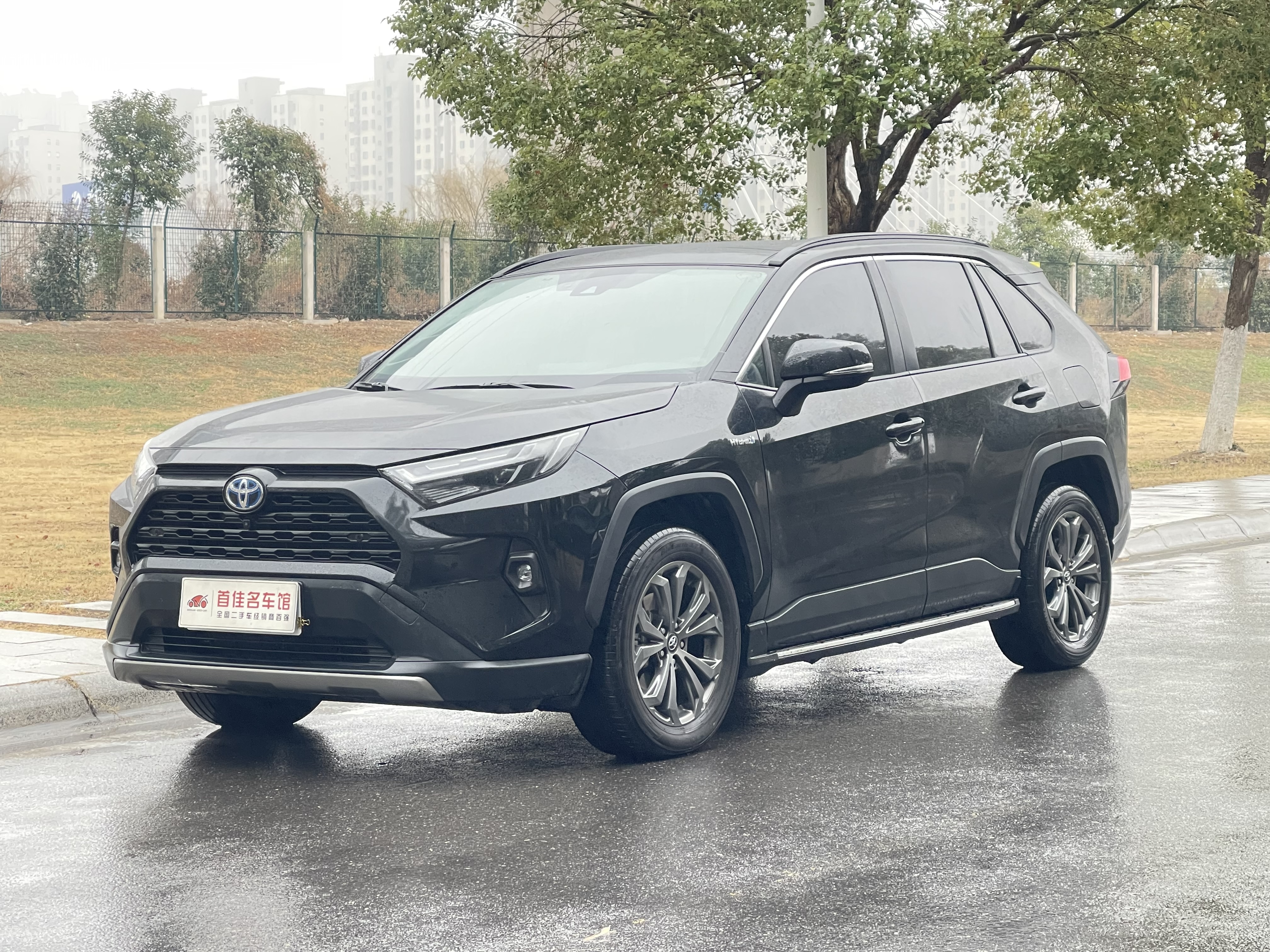 Toyota RAV4 2025 car image 