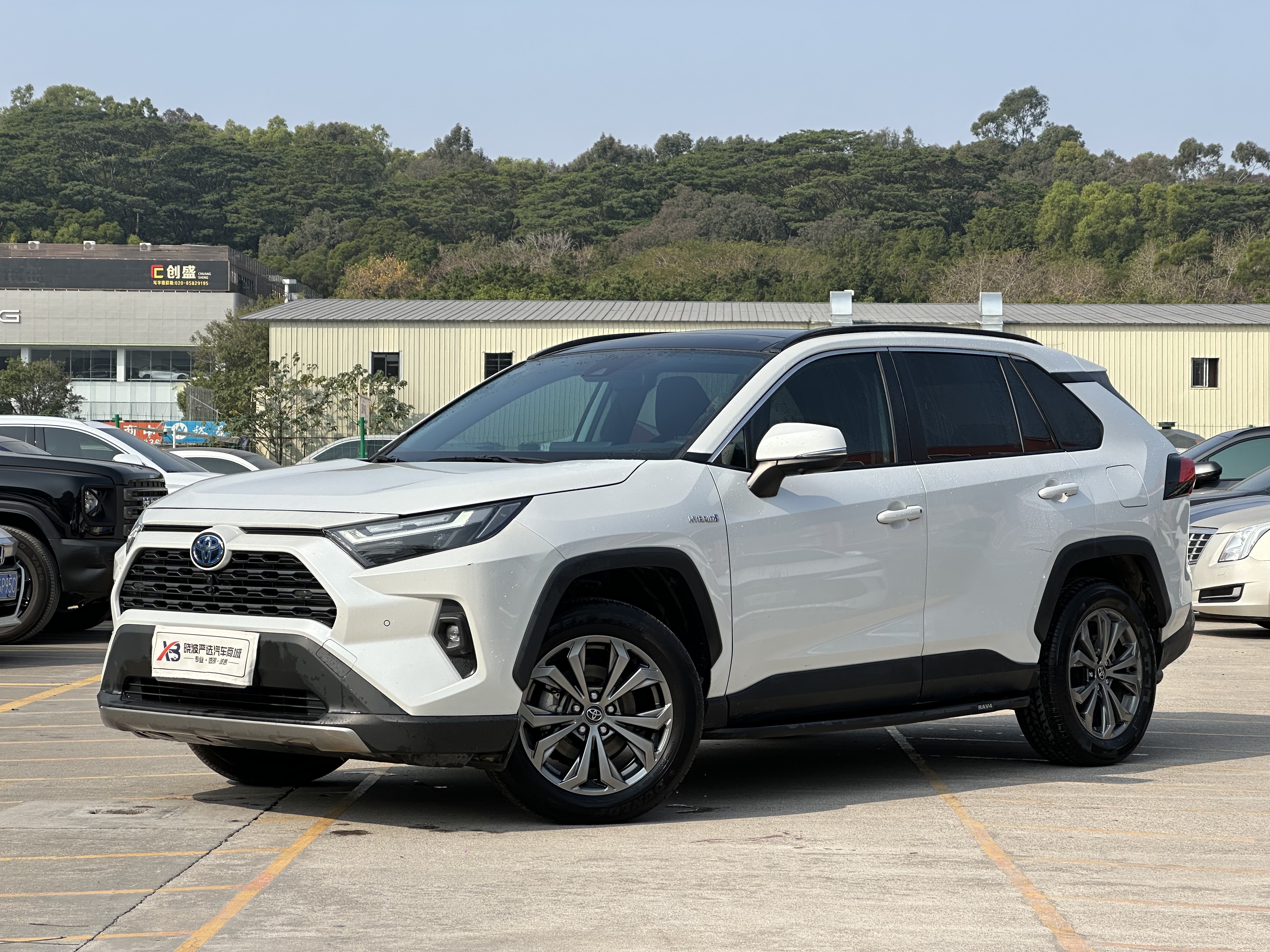 Toyota RAV4 2024 car image 
