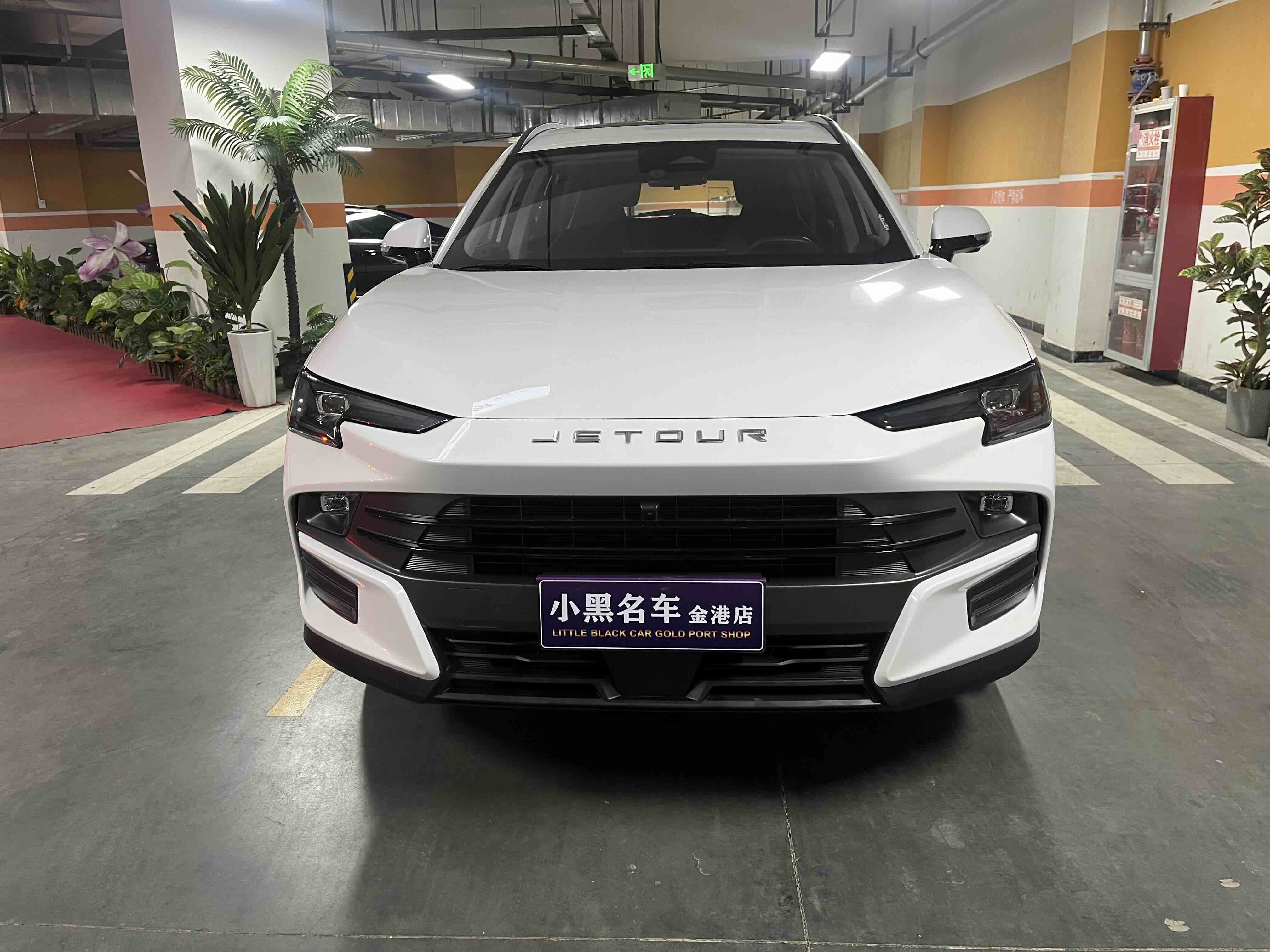 Jetour Dashing 2024 car image 