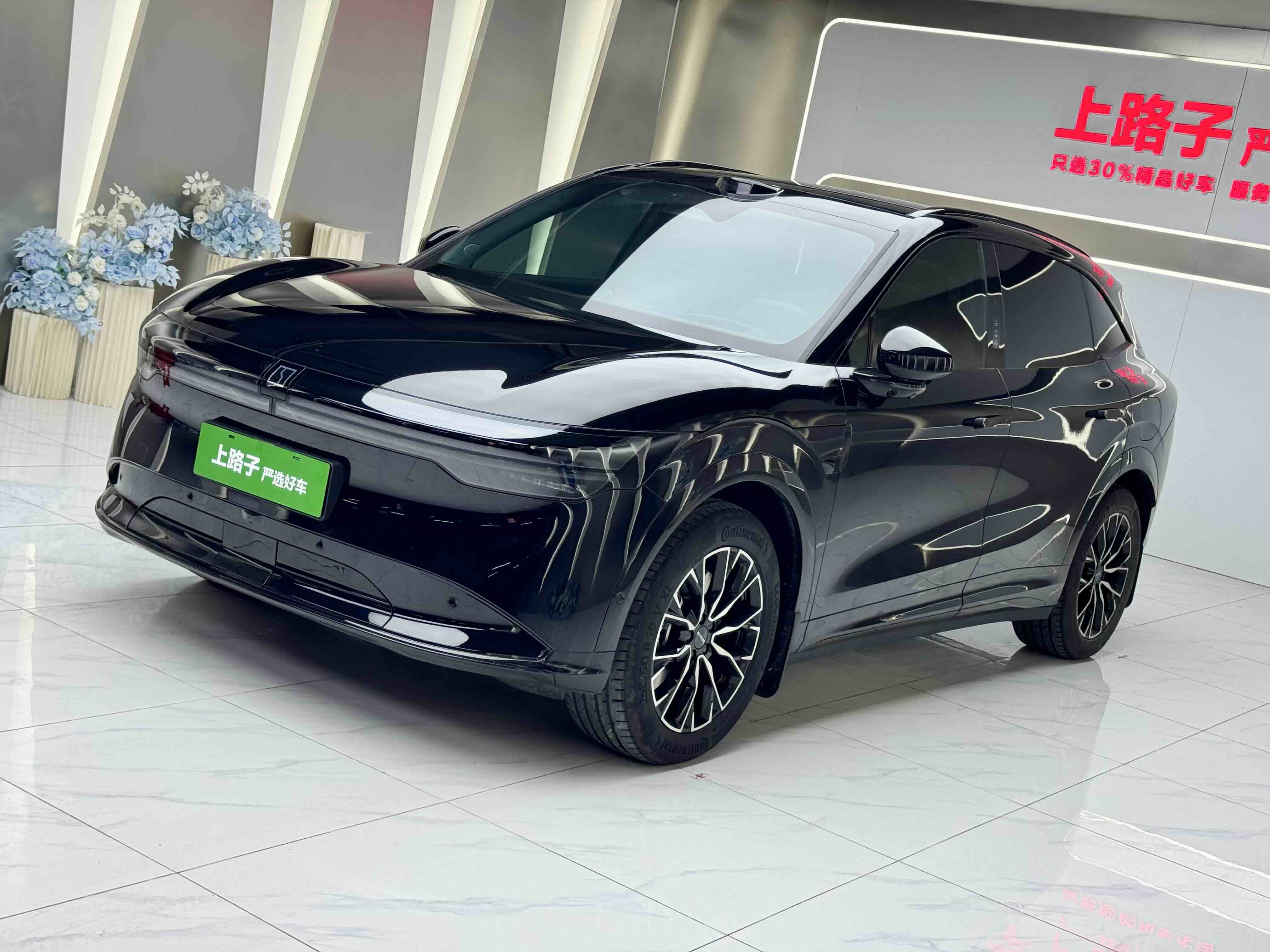 Zeekr 7X 2025 汽车图片 