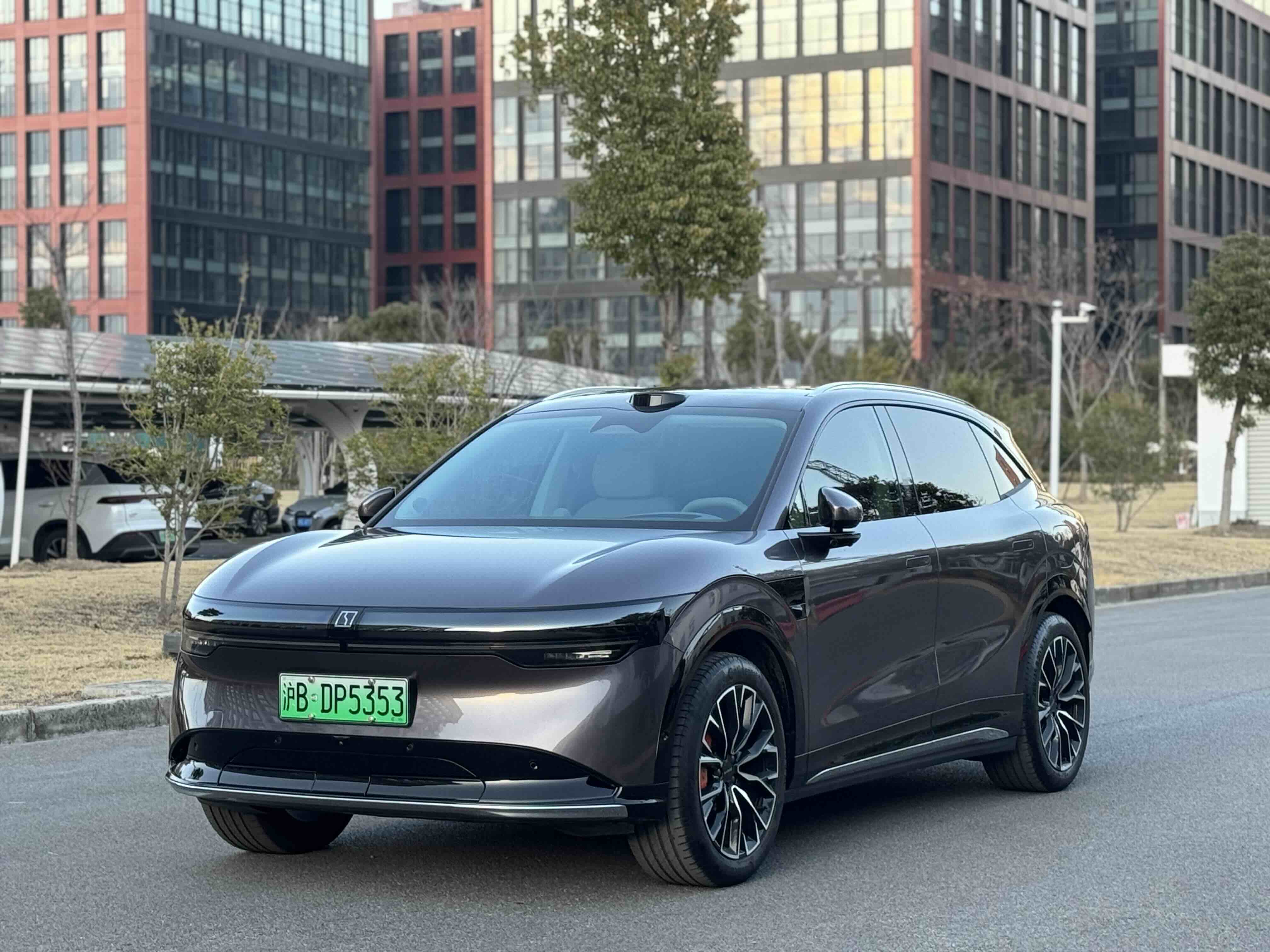 Zeekr 7X 2025 汽车图片 