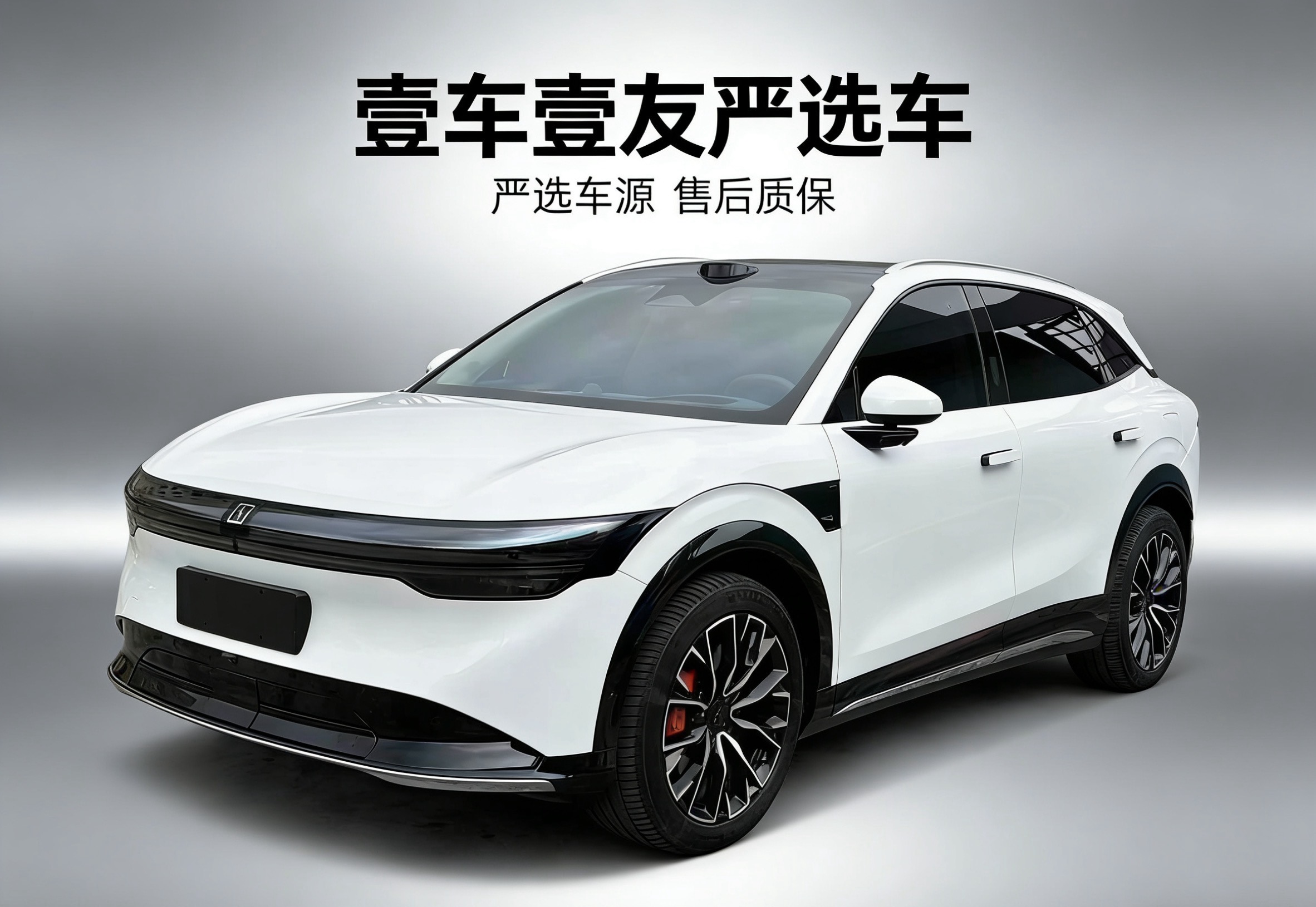 Zeekr 7X 2024 car image 