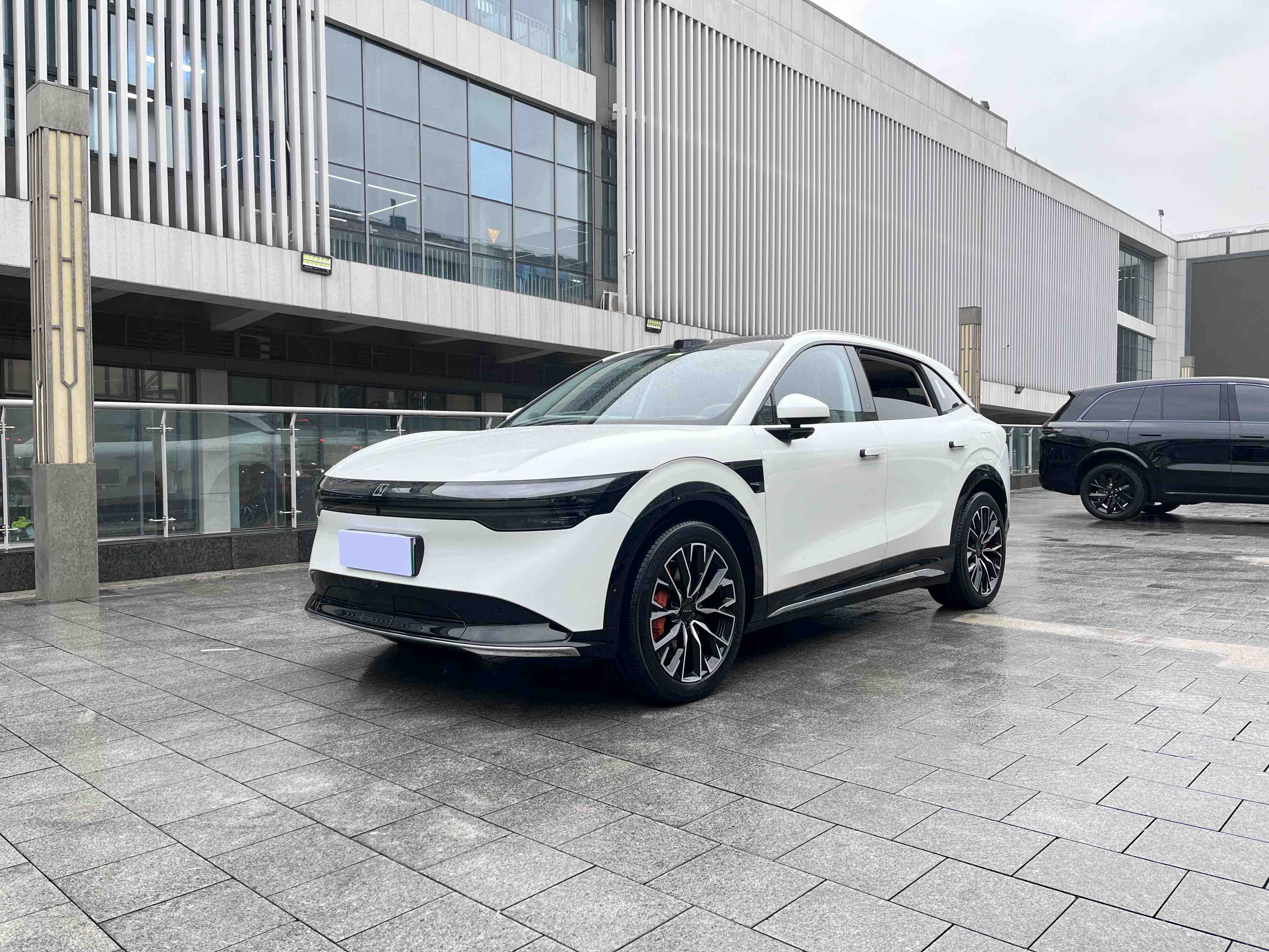 Zeekr 7X 2024 汽车图片 