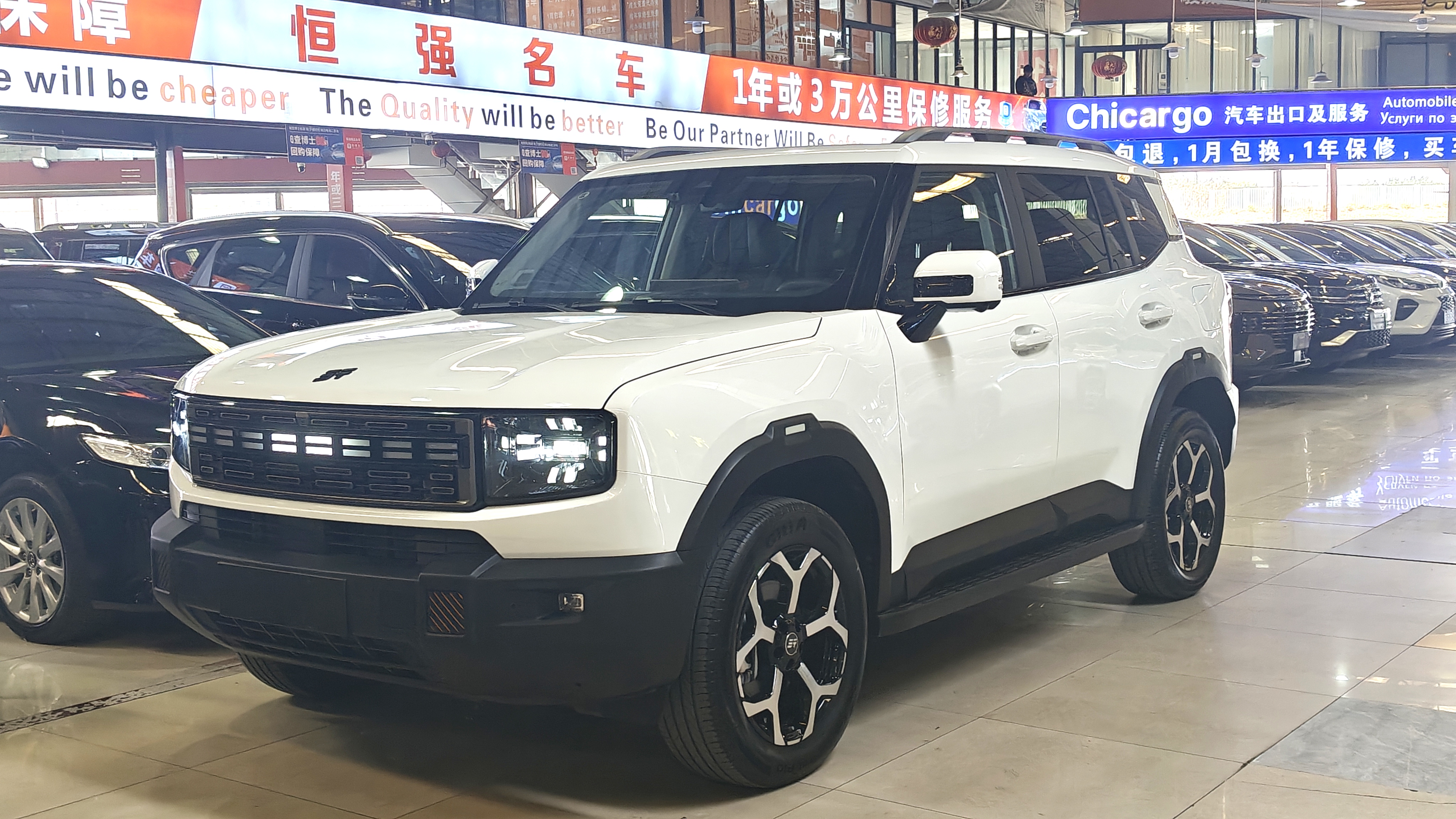 Jetour Shanhai T1 2024 汽车图片 