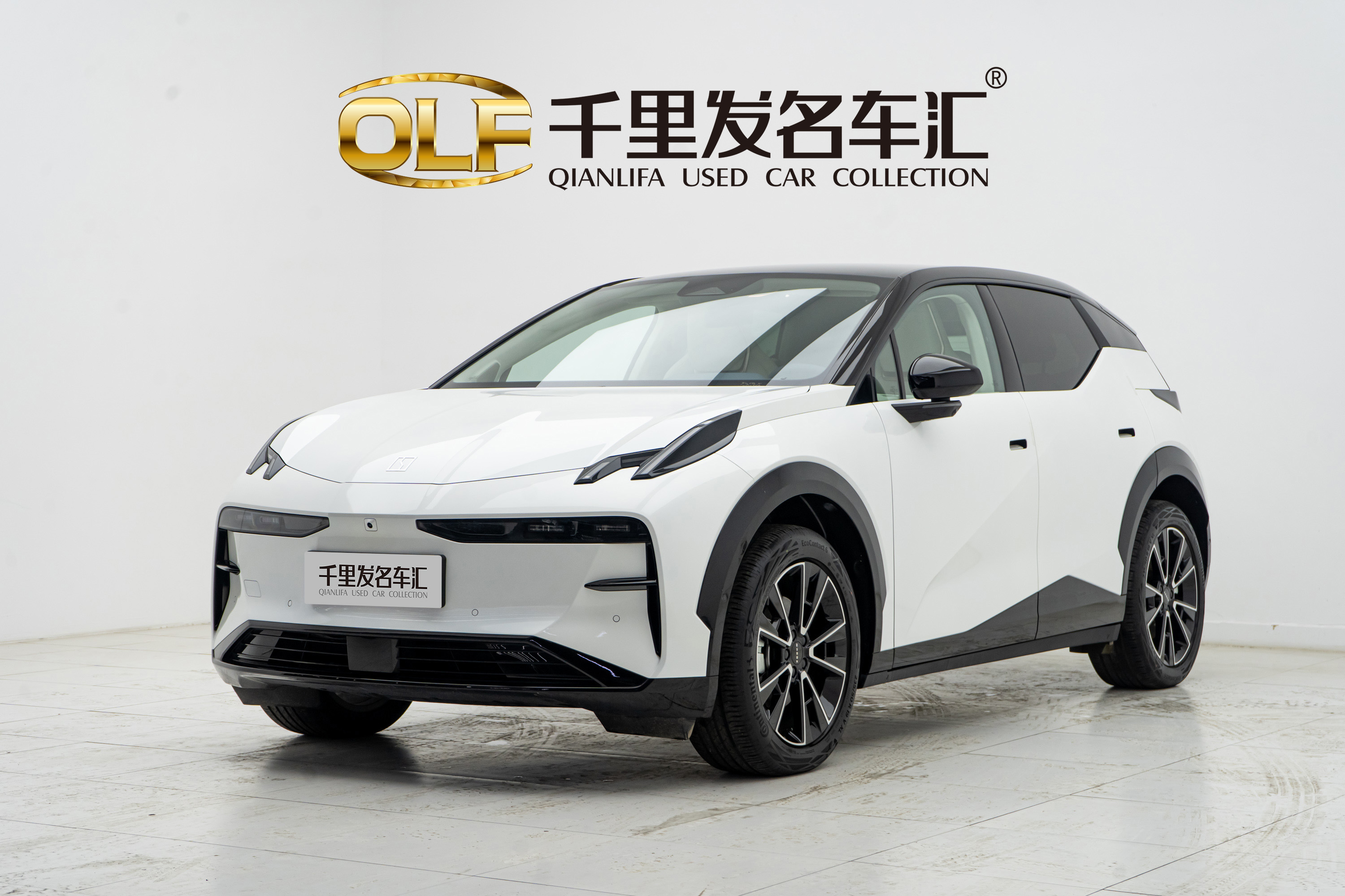 Zeekr X 2025 汽车图片 