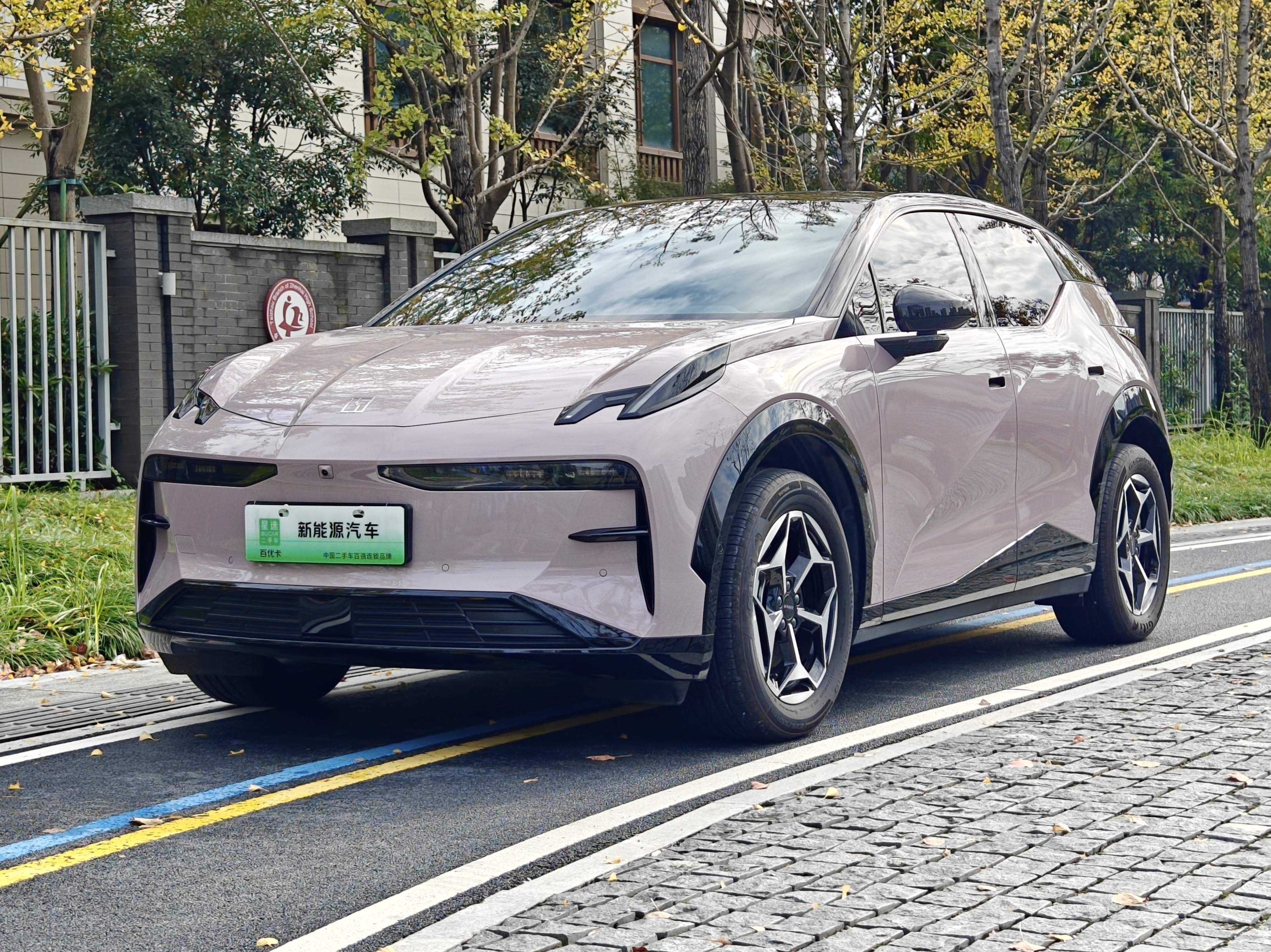 Zeekr X 2024 汽车图片 