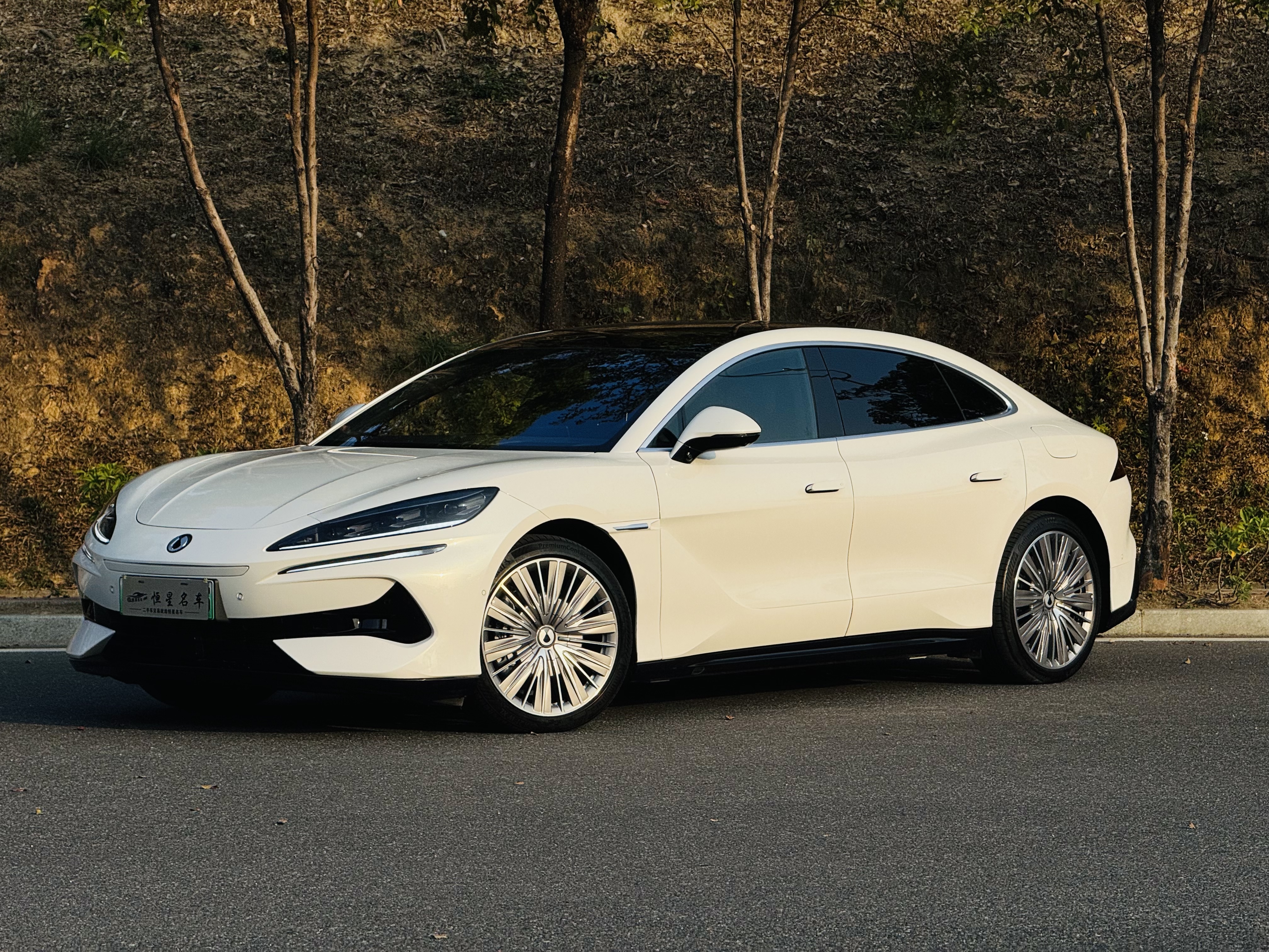 Denza Z9 2025 Denza Z9 2025 immagine di auto