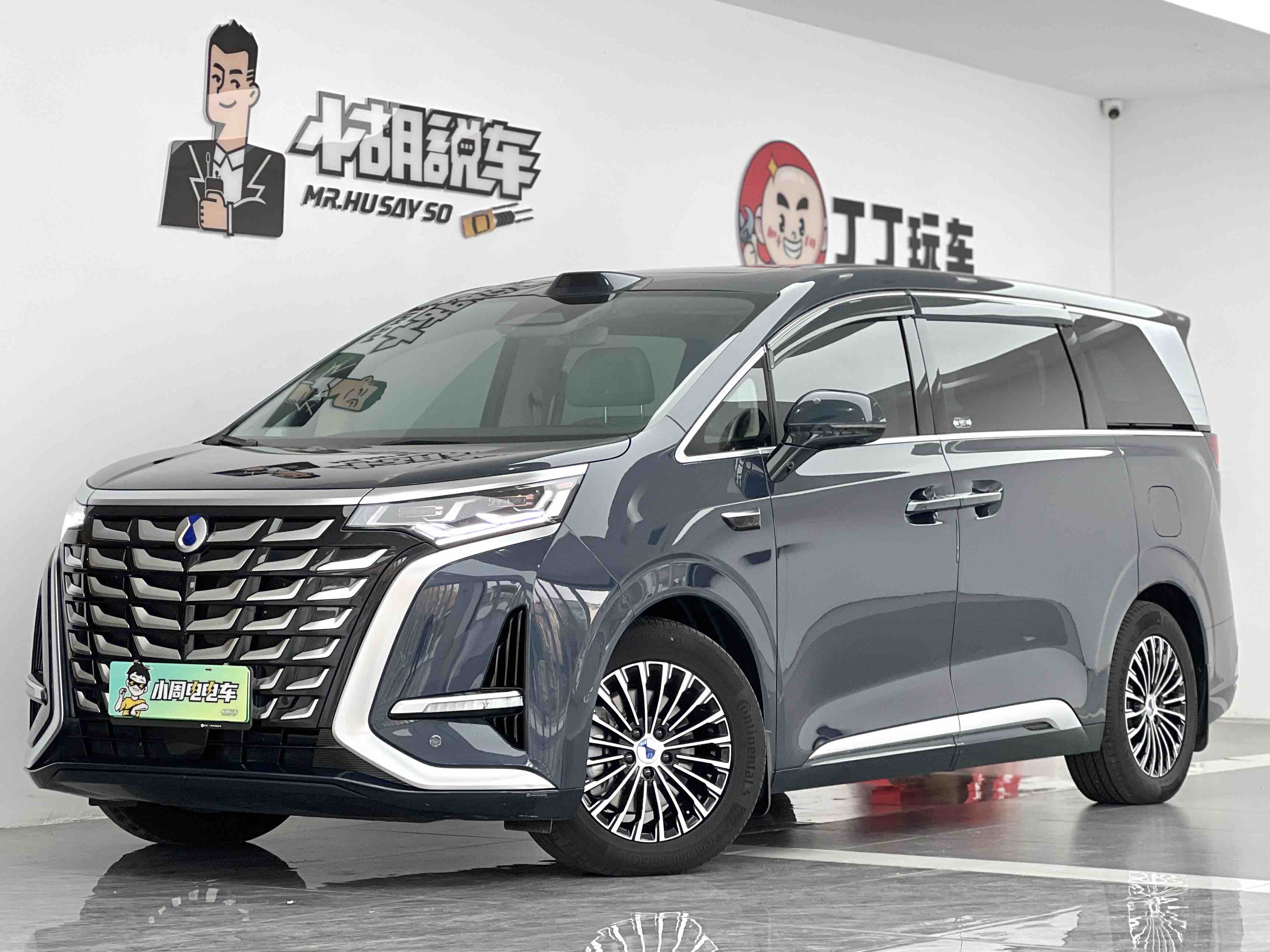 Denza D9 2025 car image 