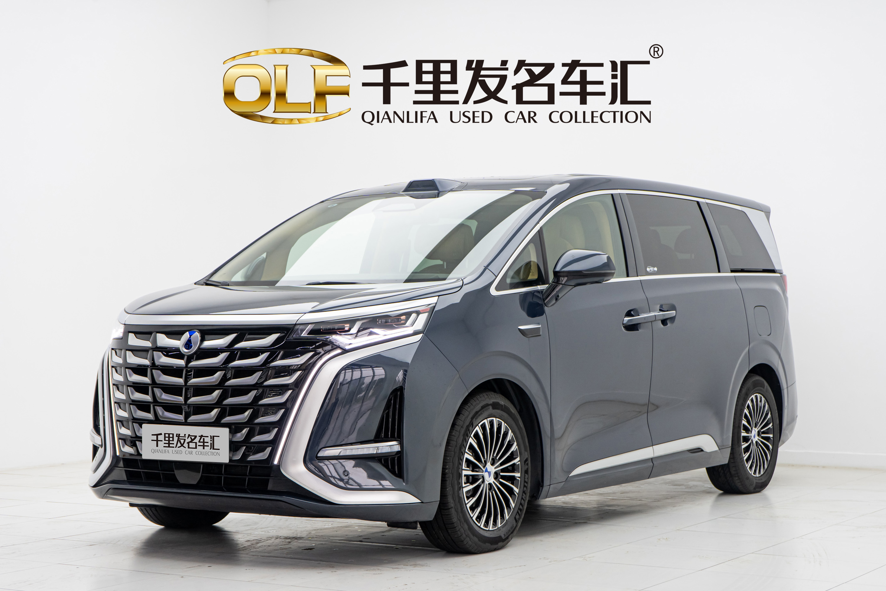 Denza D9 2025 car image 