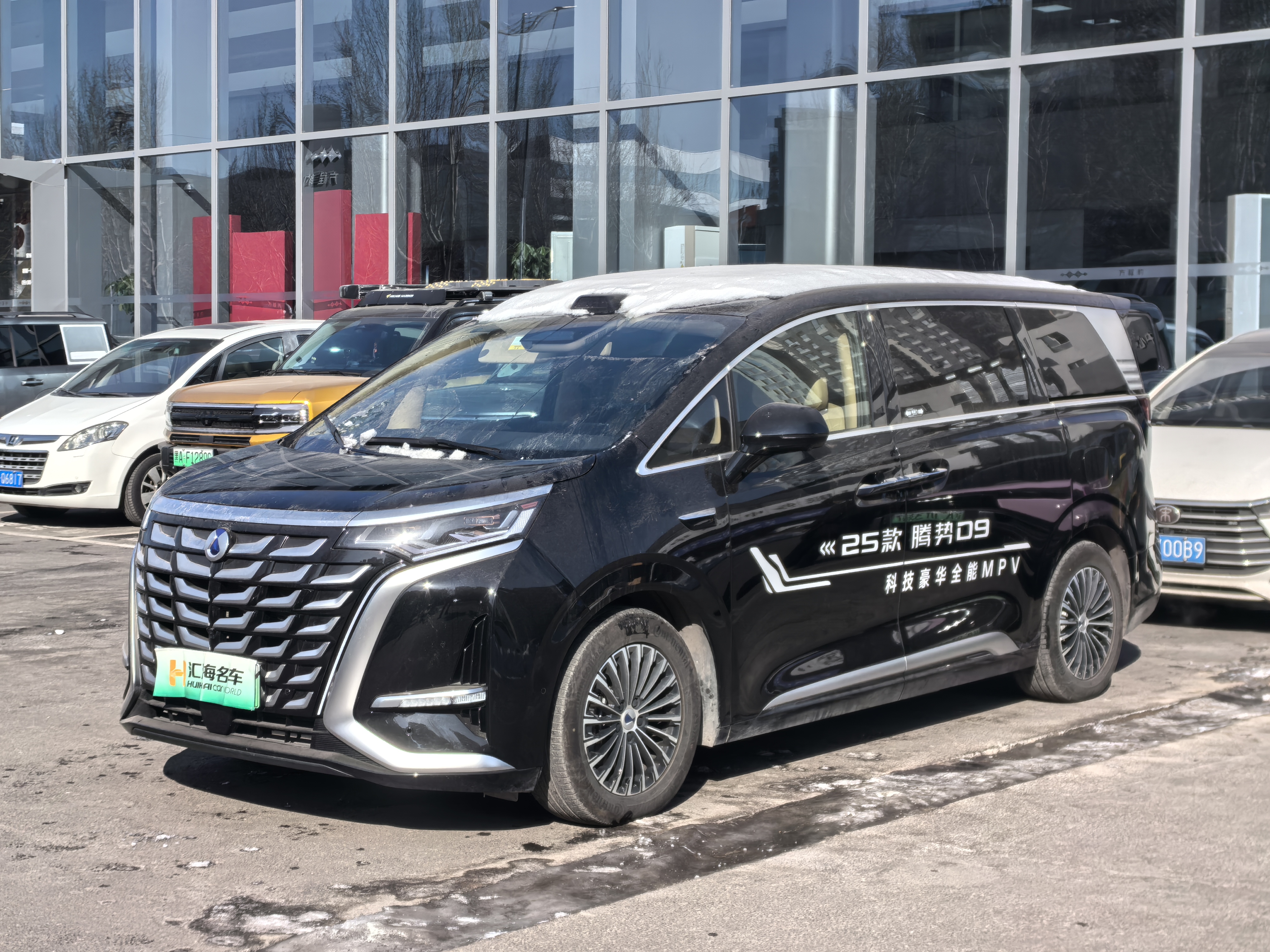 Denza D9 2025 car image 