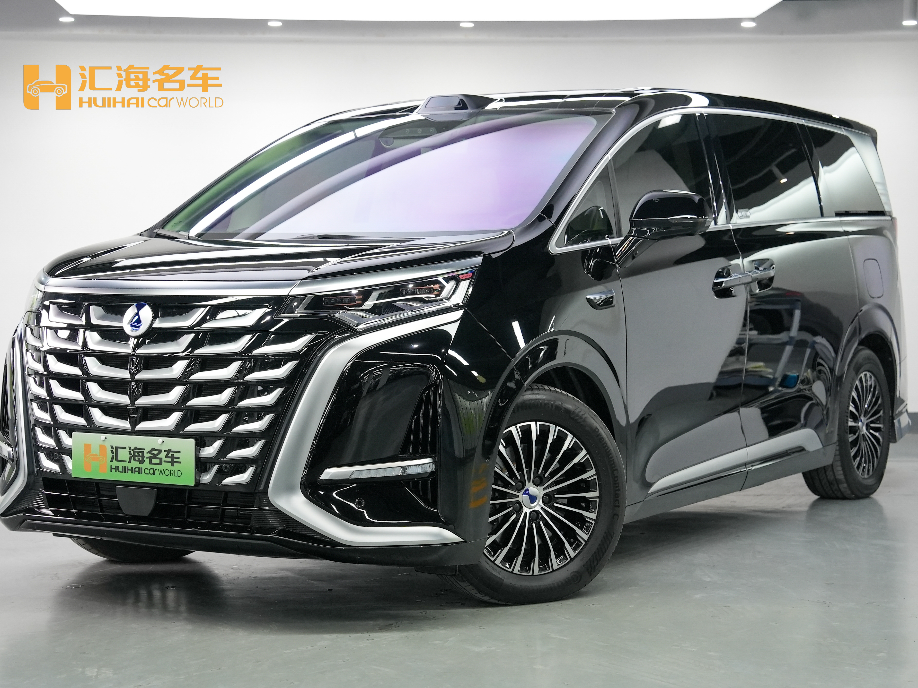 Denza D9 2025 immagine di auto 