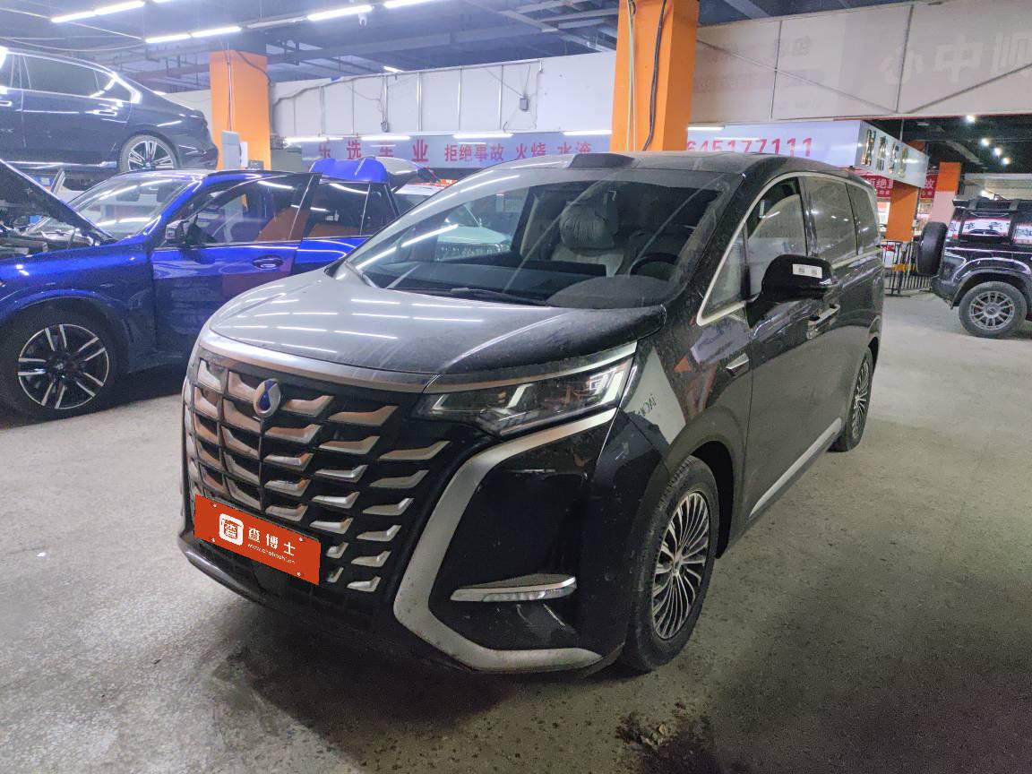 Denza D9 2025 immagine di auto 