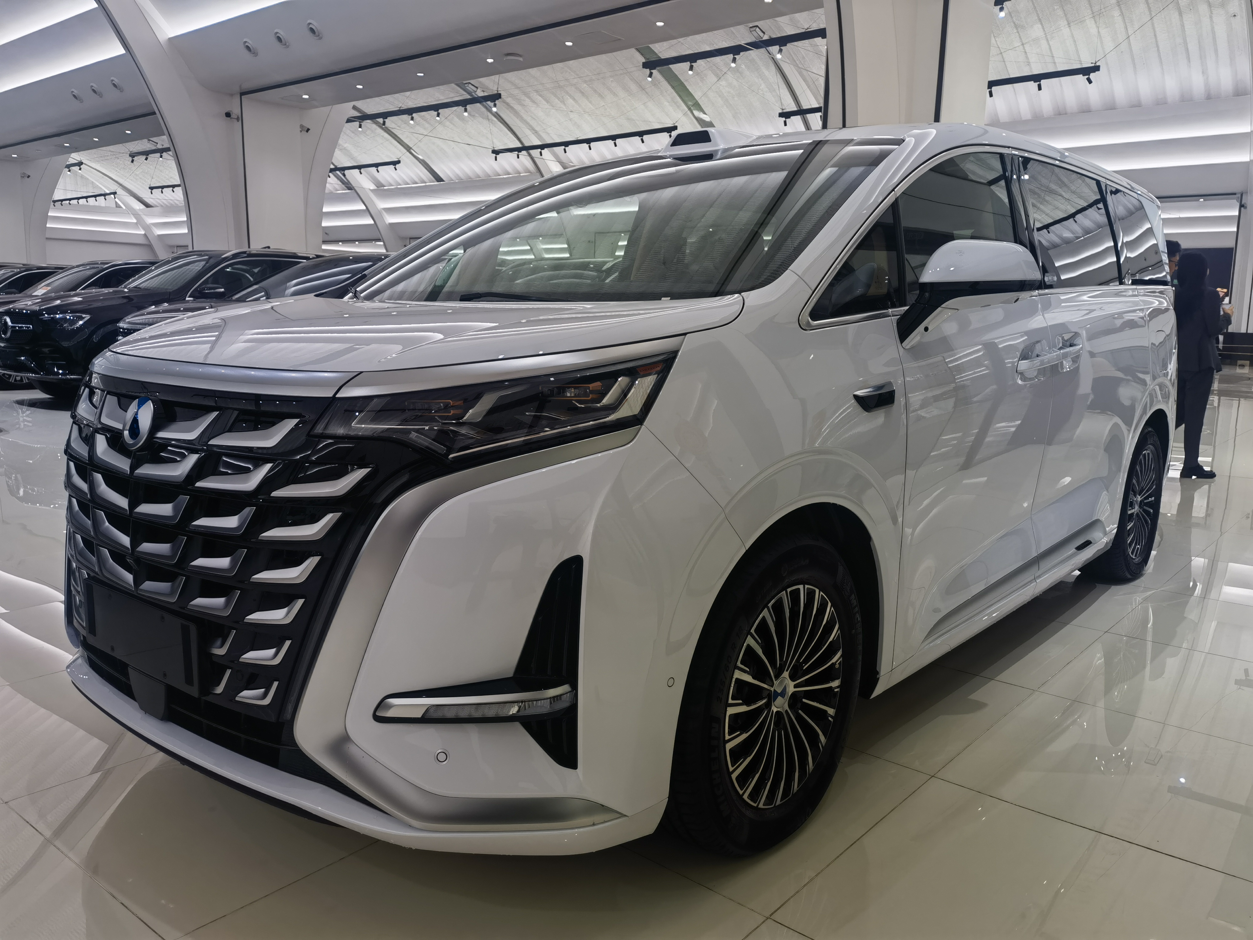 Denza D9 2025 immagine di auto 