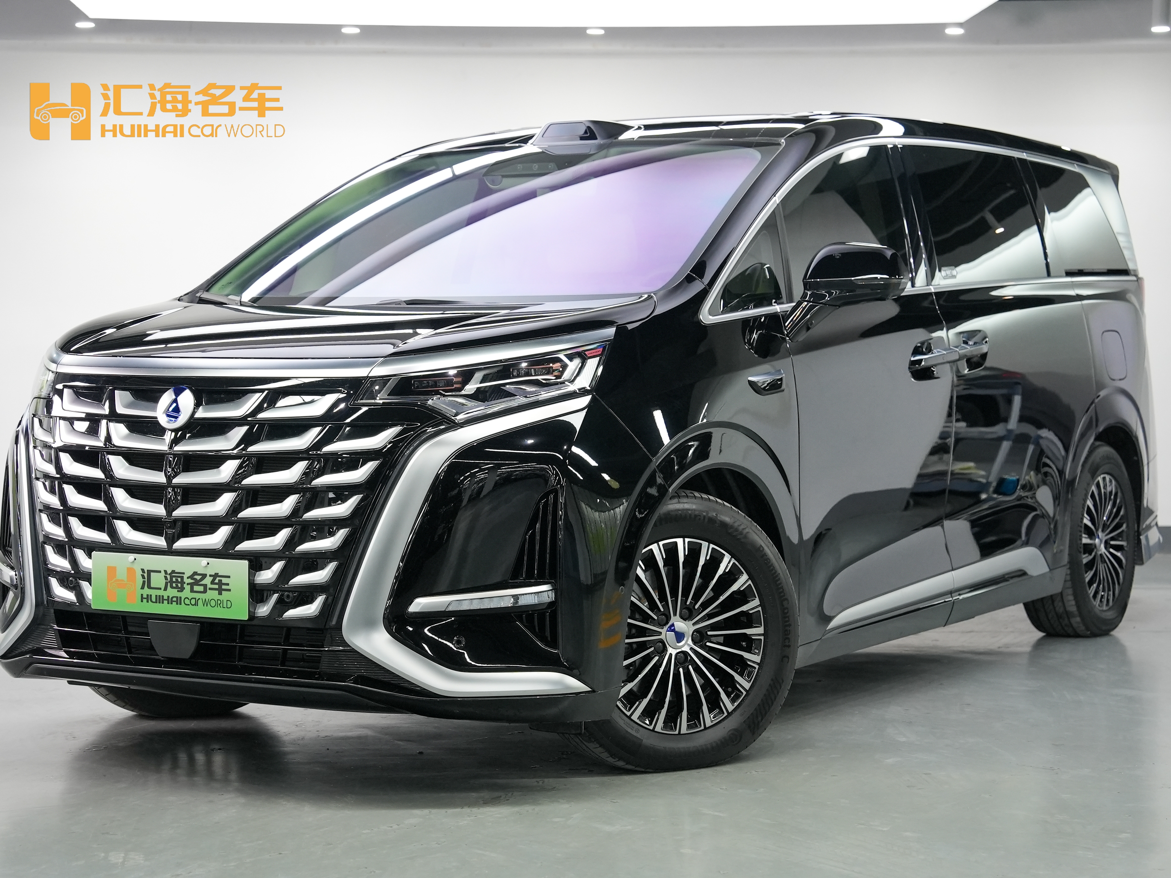 Denza D9 2025 car image 