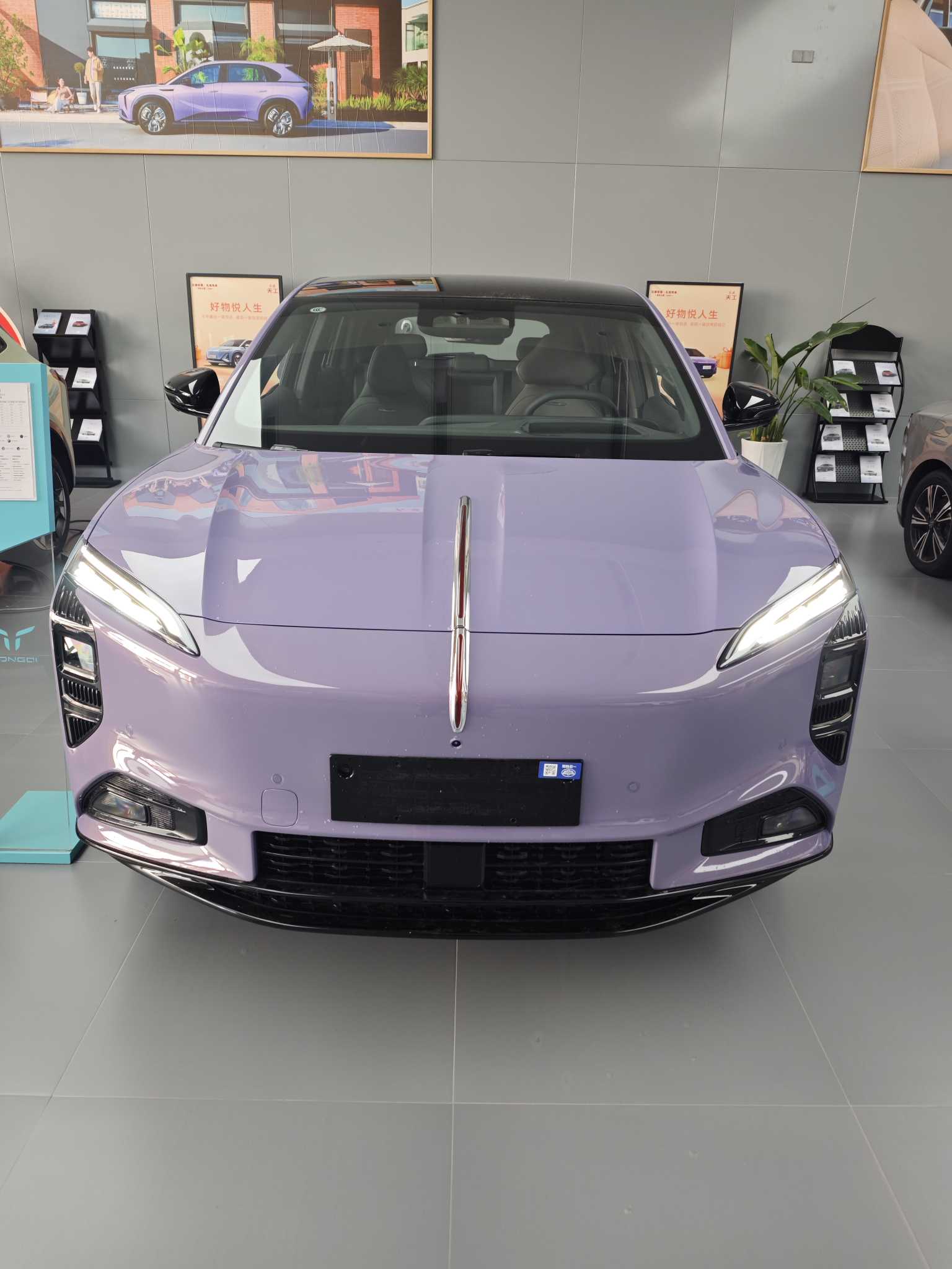 HongQi TianGong 08 2025 car image 