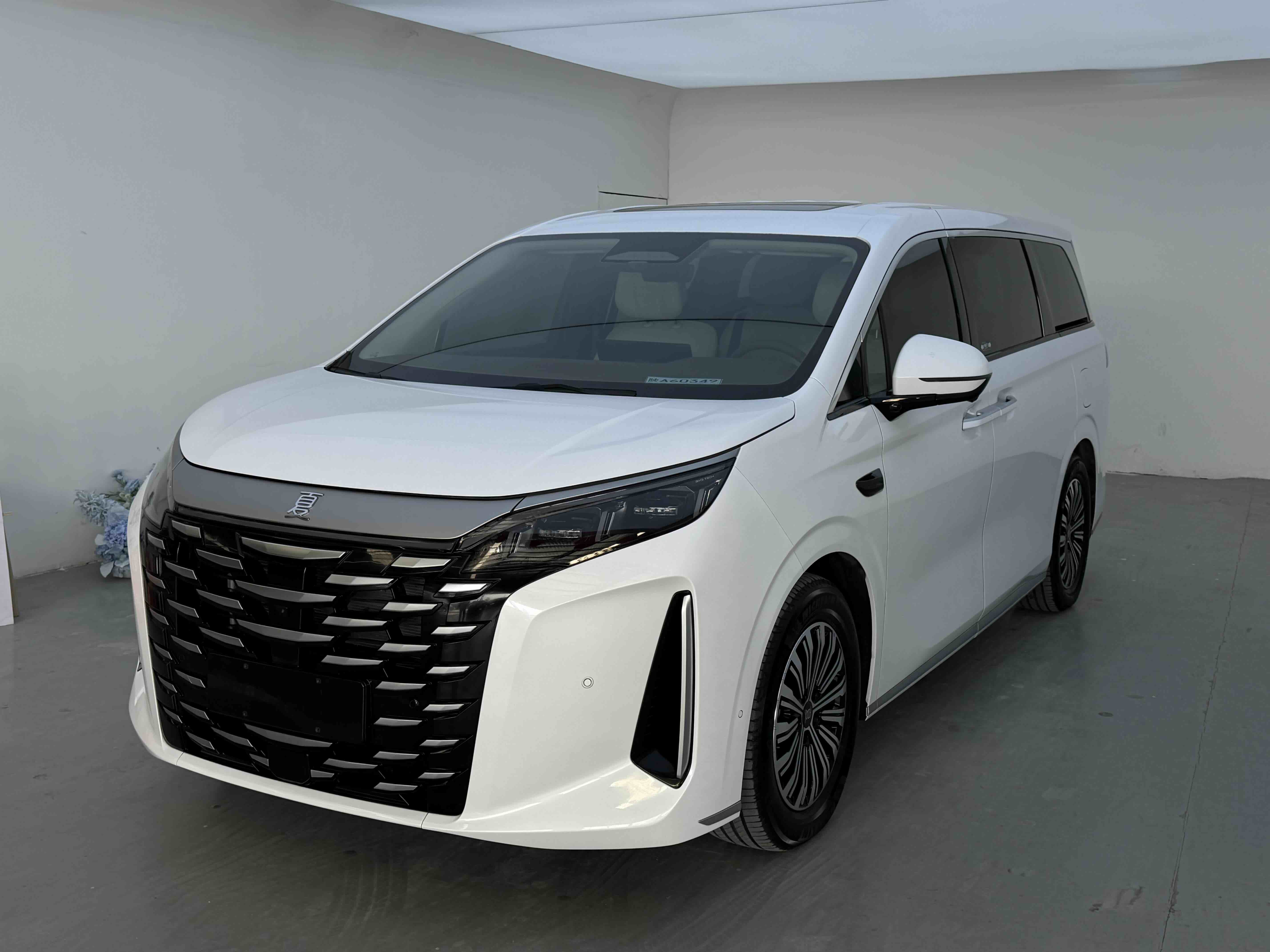 BYD Xia 2025 imagen de coche 