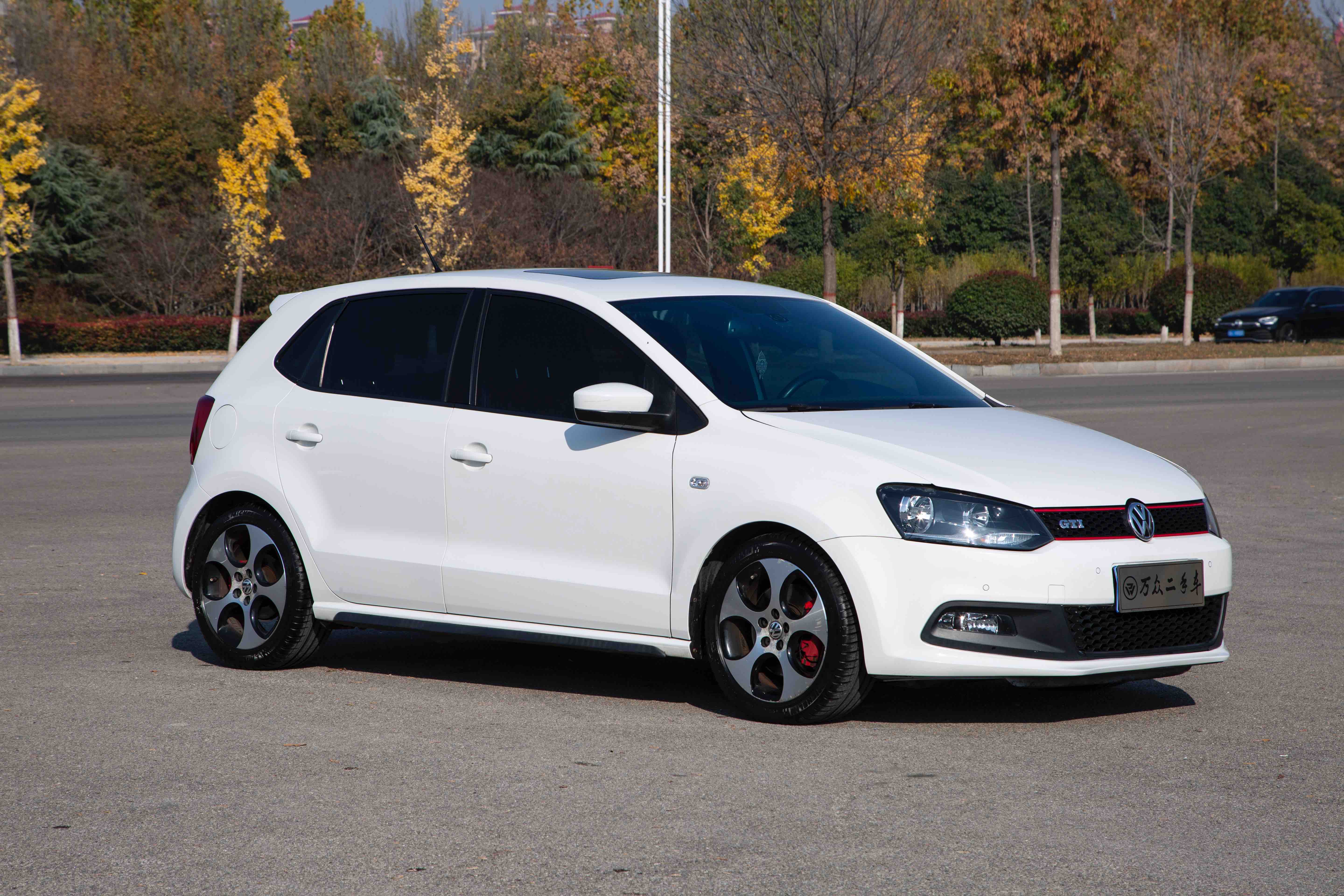 Volkswagen Polo 2013 car image 