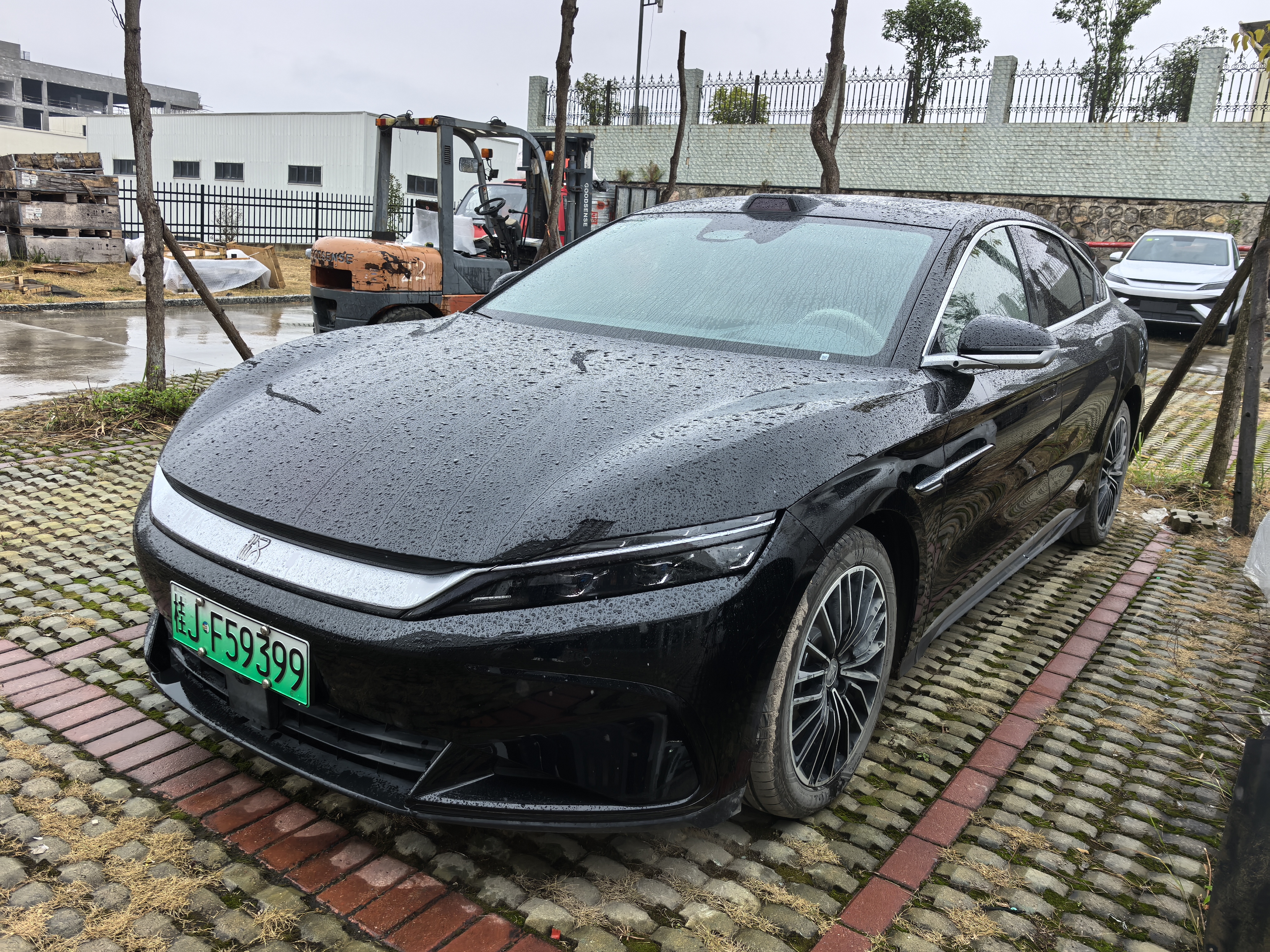 BYD Han 2025 car image 