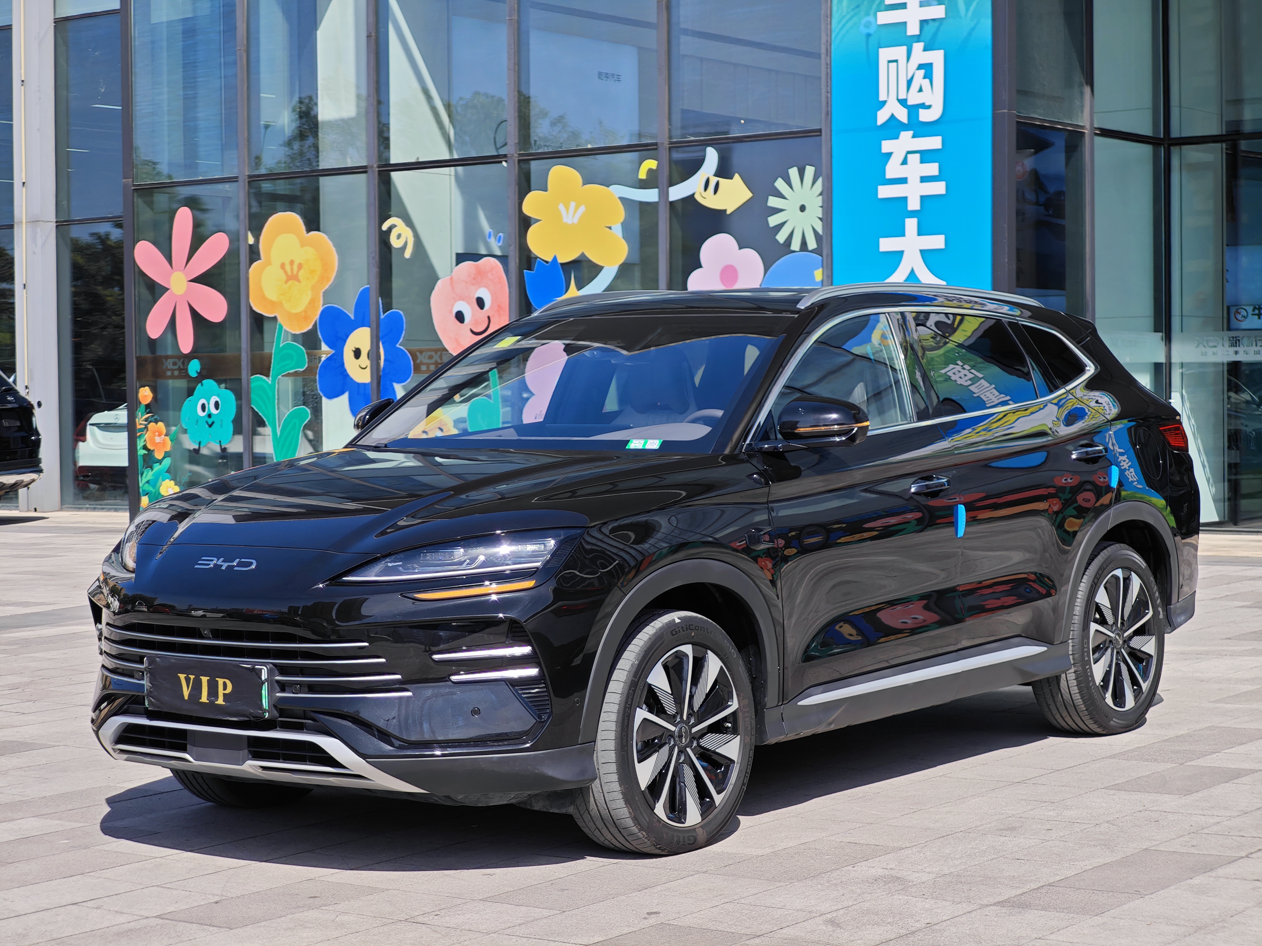 BYD Song Plus New Energy 2025 car image 