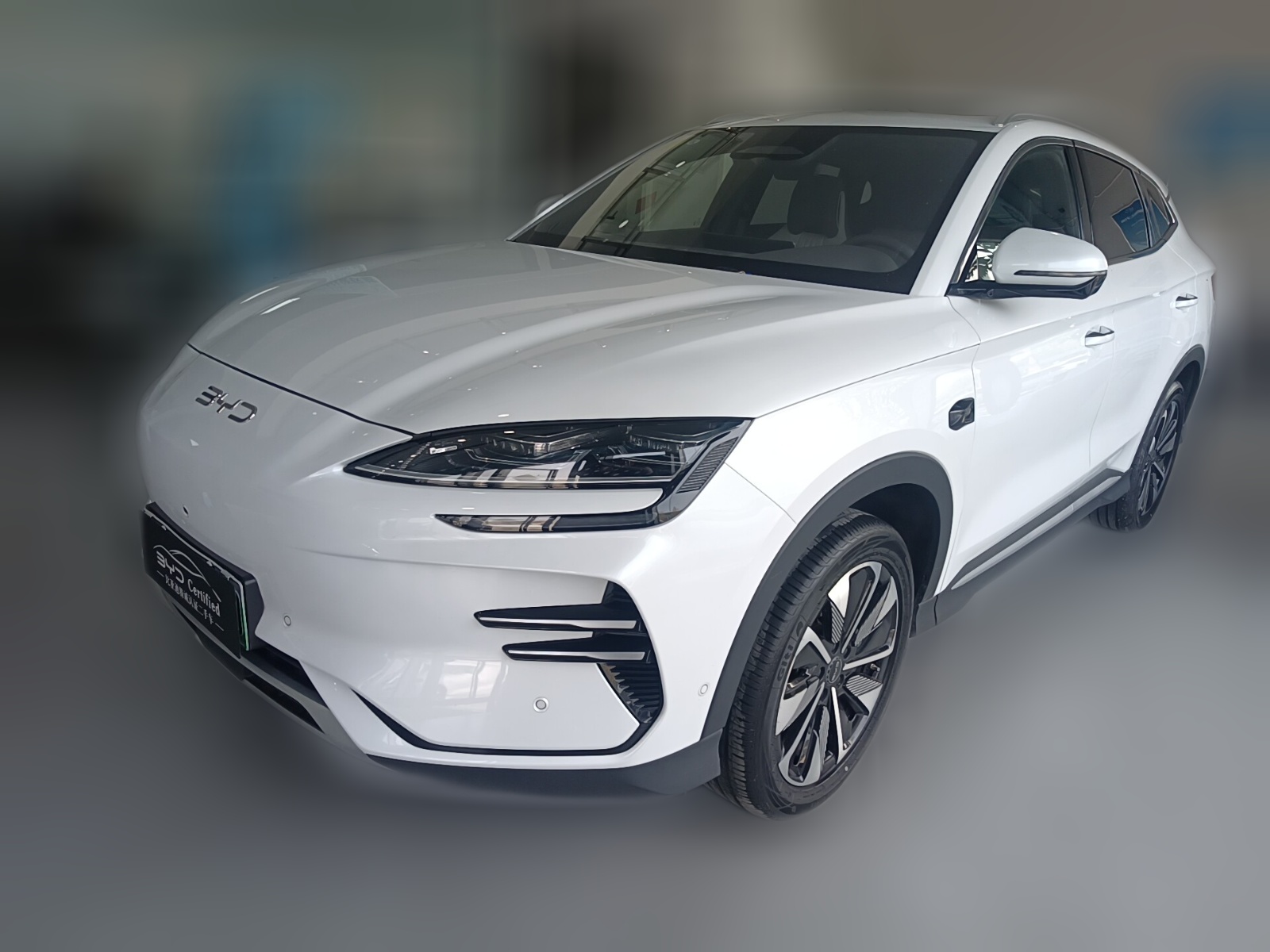 BYD Song Plus New Energy 2025 car image 
