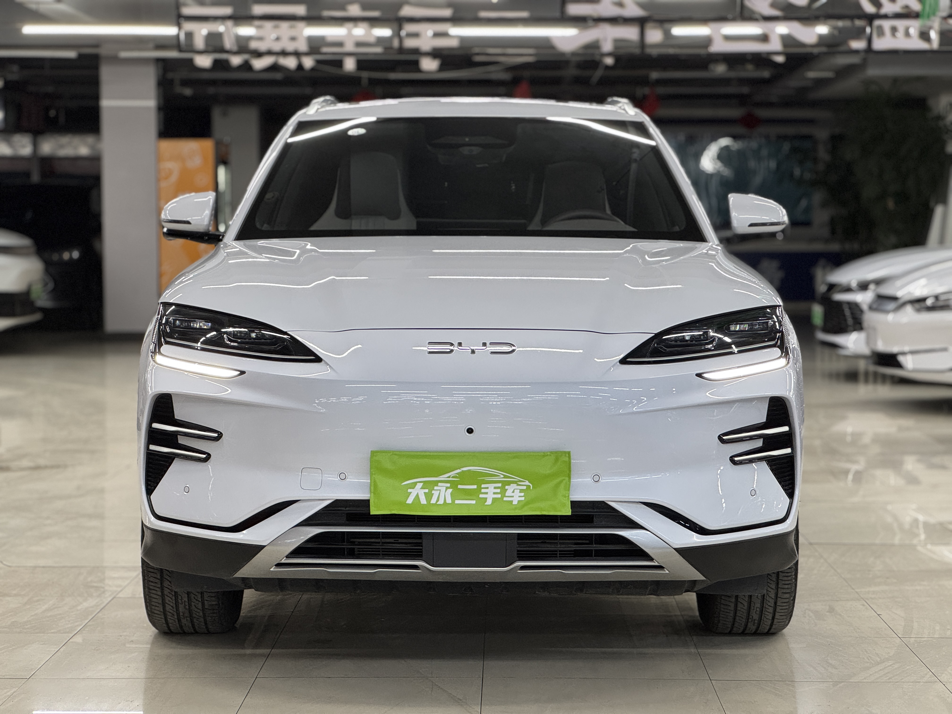 BYD Song Plus New Energy 2025 car image 
