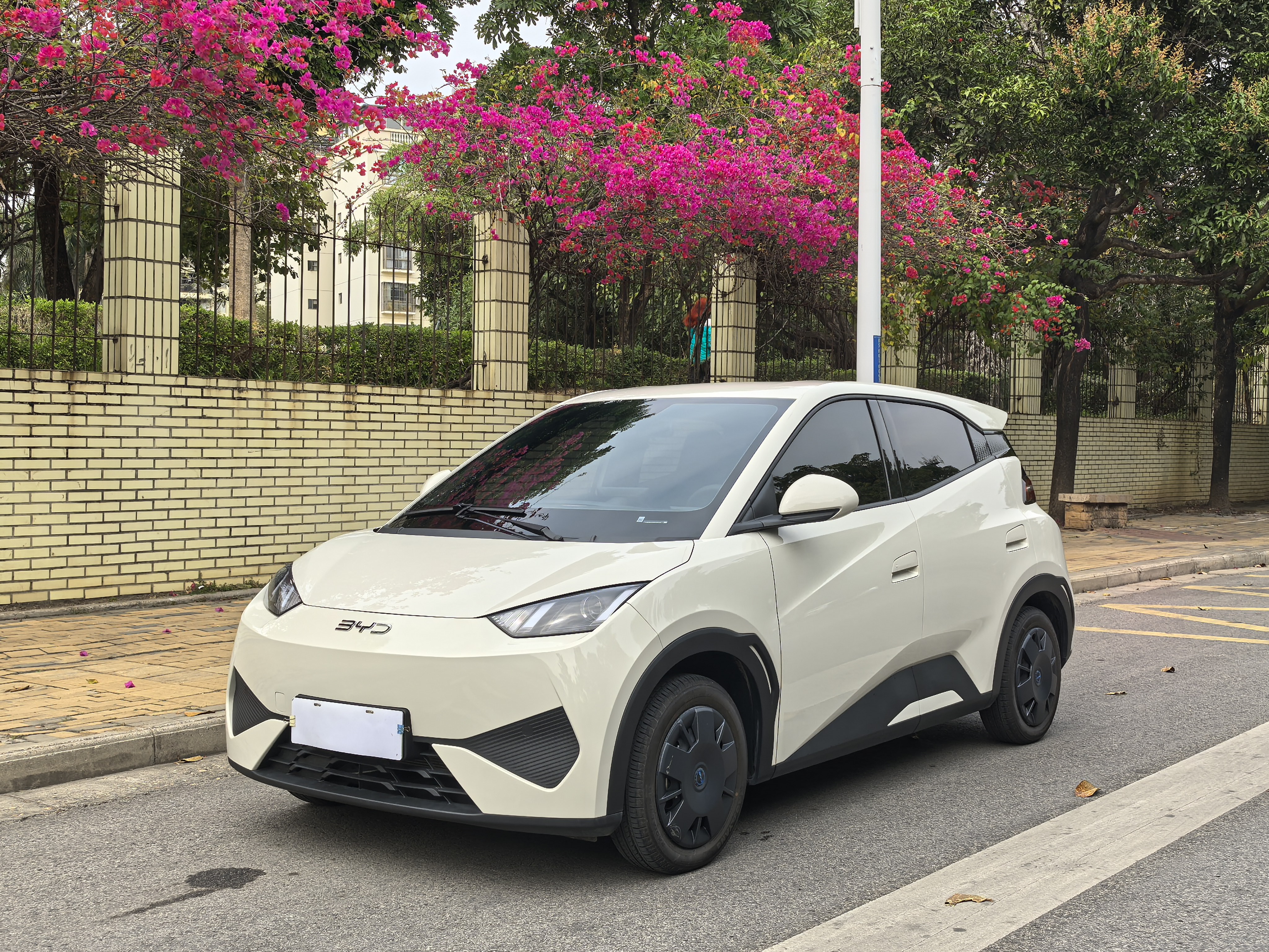 BYD Seagull 2025 car image 