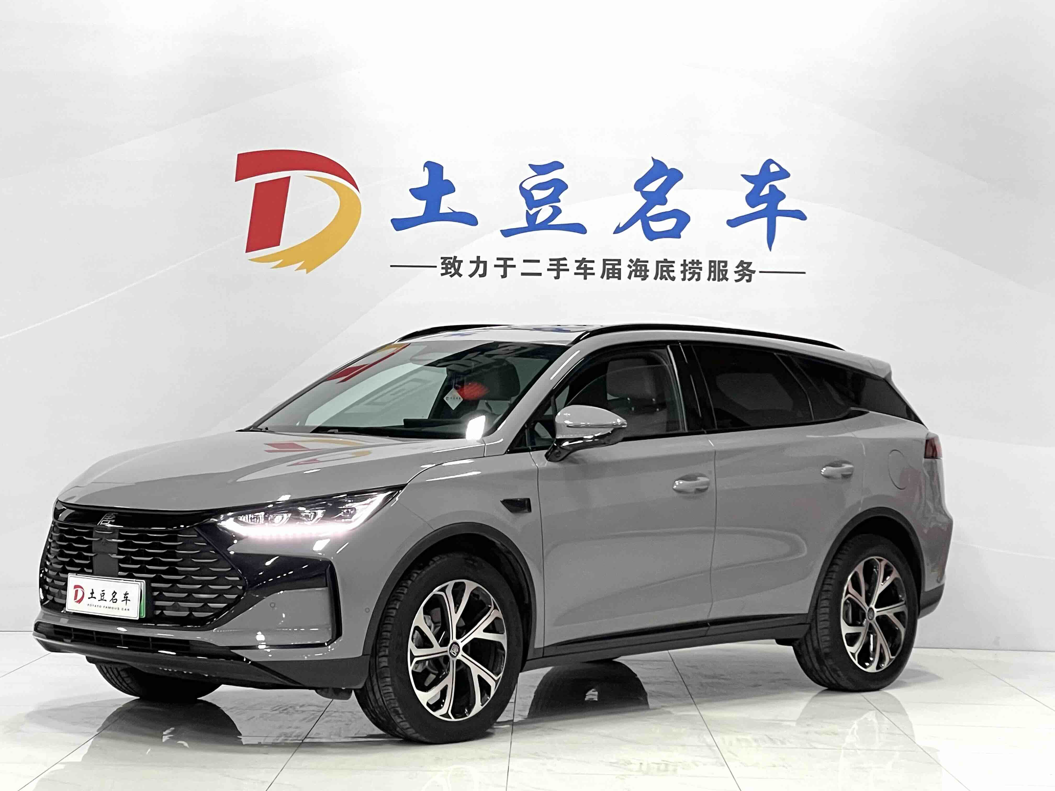 BYD Tang New Energy 2025 car image 