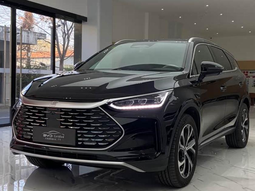 BYD Tang New Energy 2025 car image 