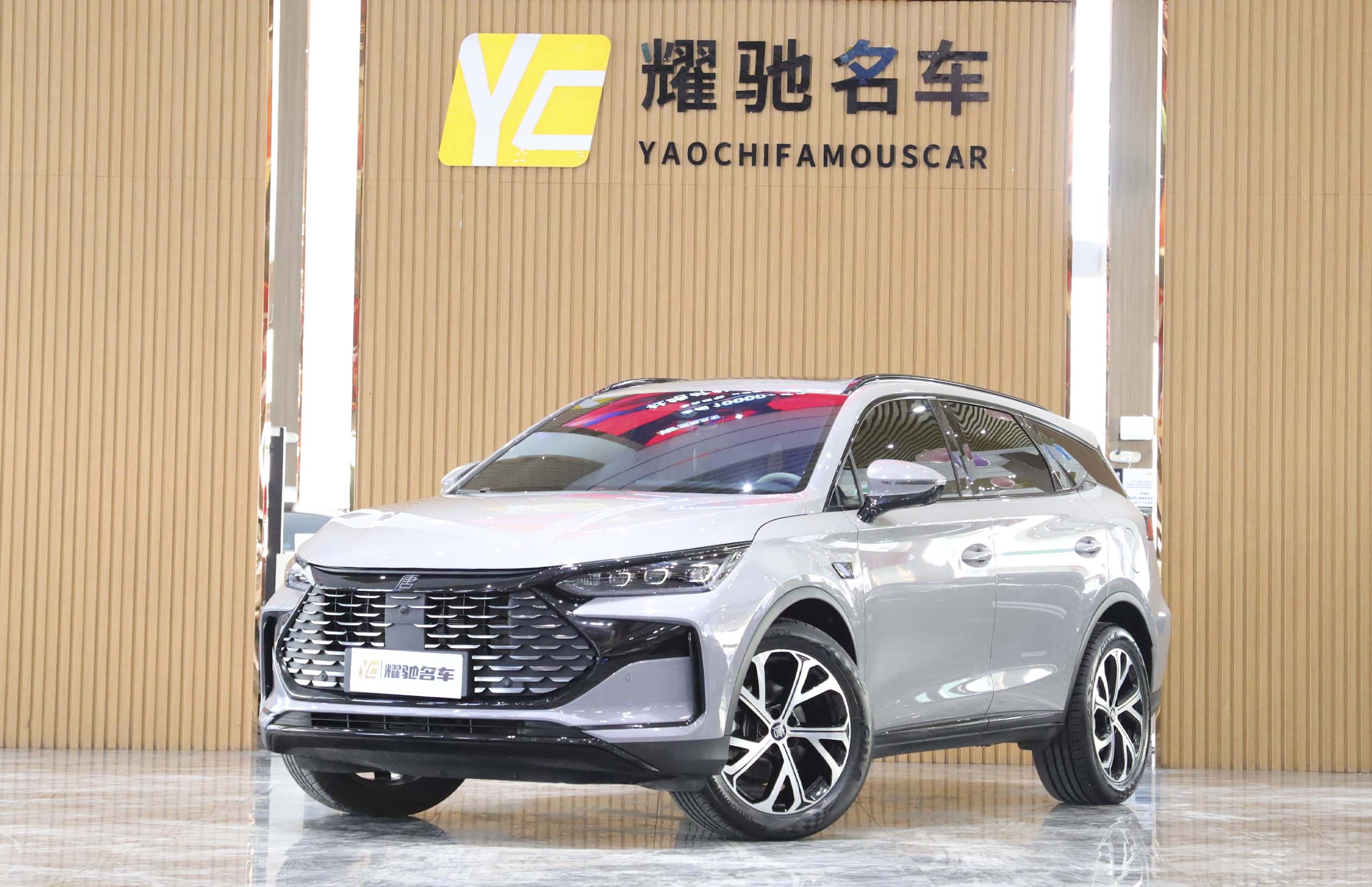 BYD Tang New Energy 2025 car image 