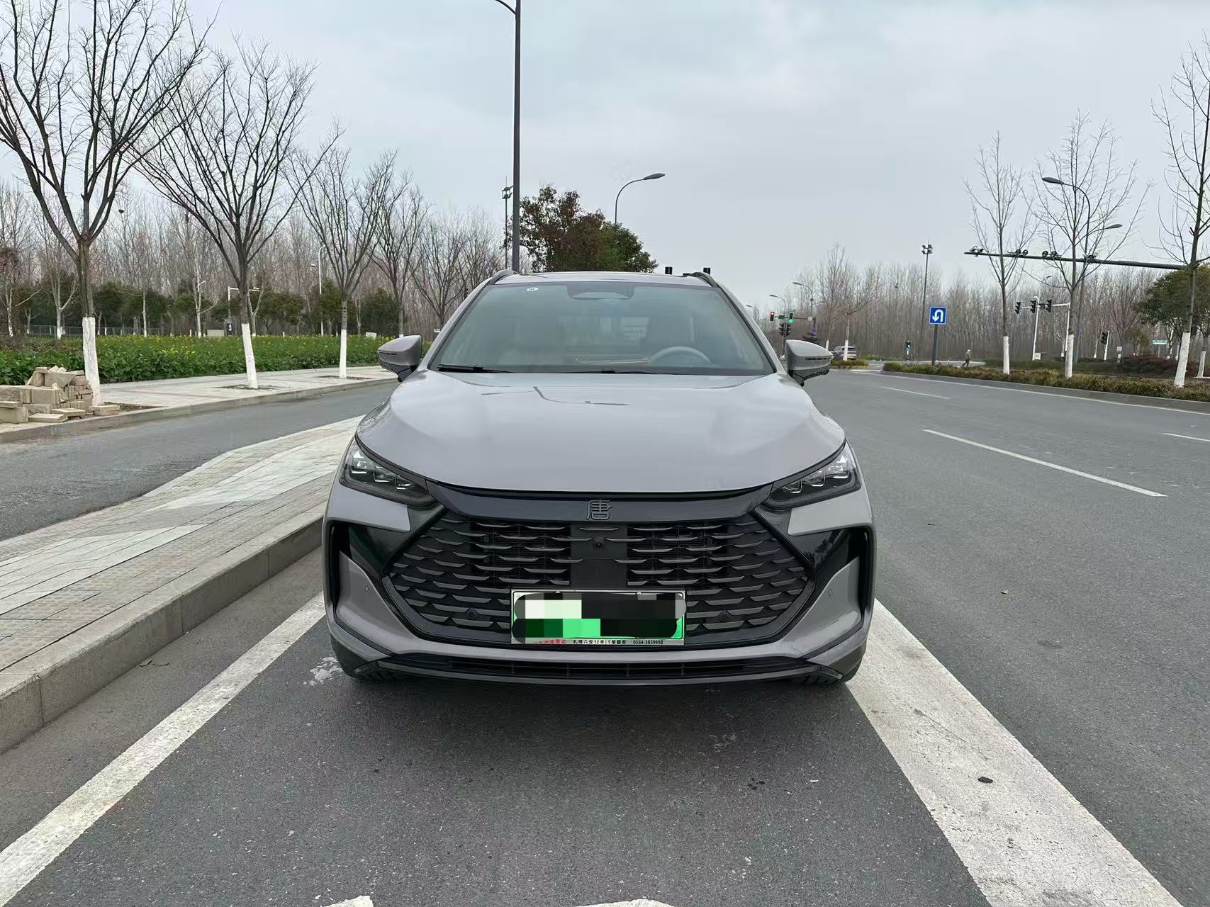BYD Tang New Energy 2025 car image 