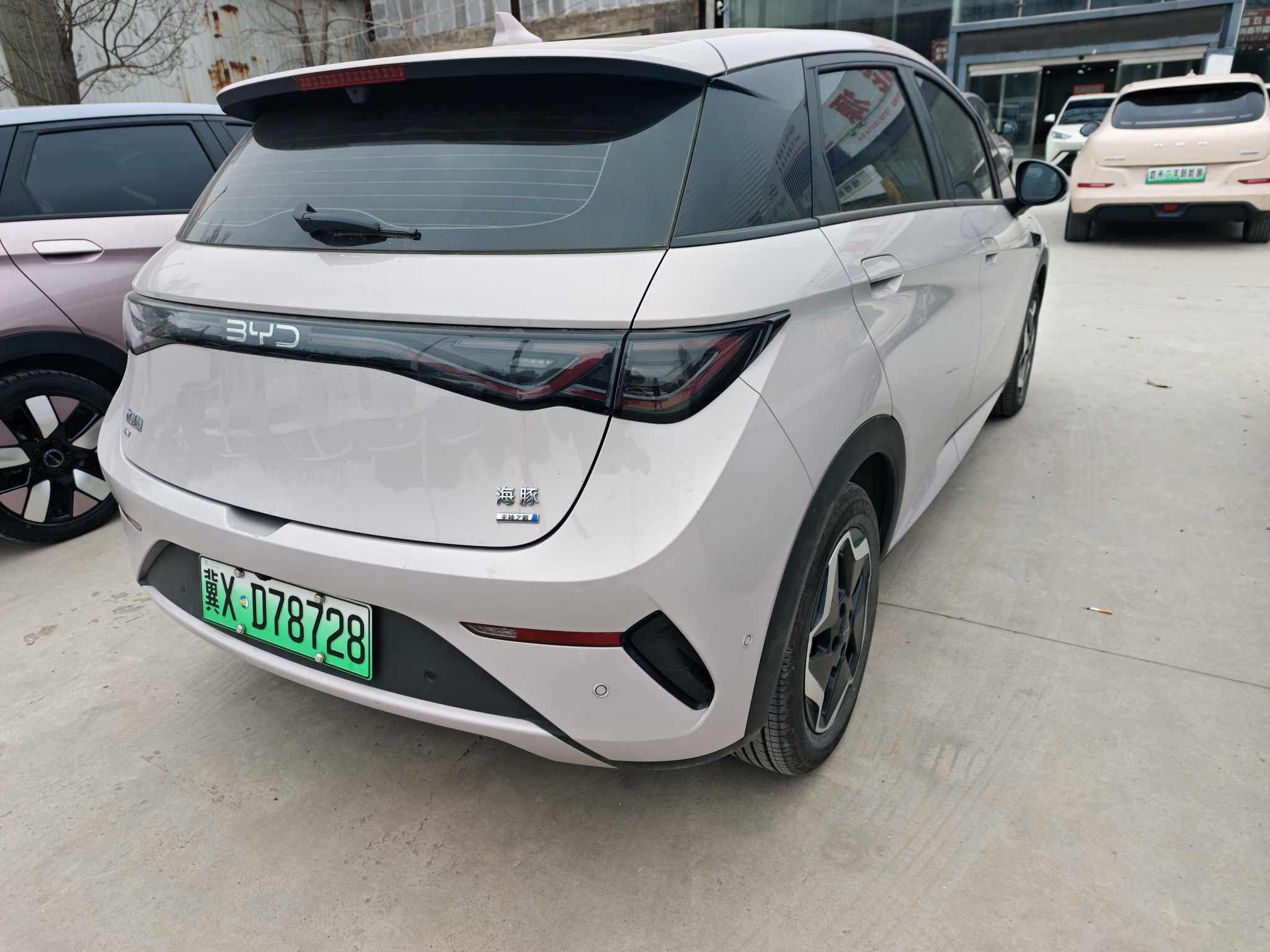 BYD Dolphin 2025 car image 