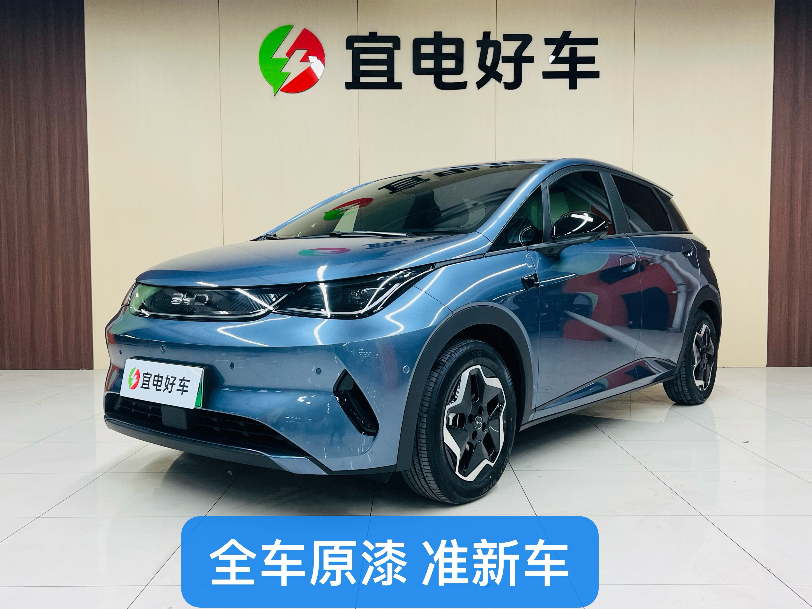 比亚迪 海豚 2025 汽车图片 