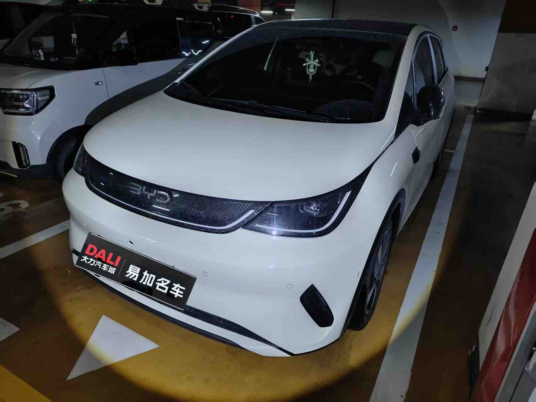 BYD Dolphin 2025 صورة سيارة 