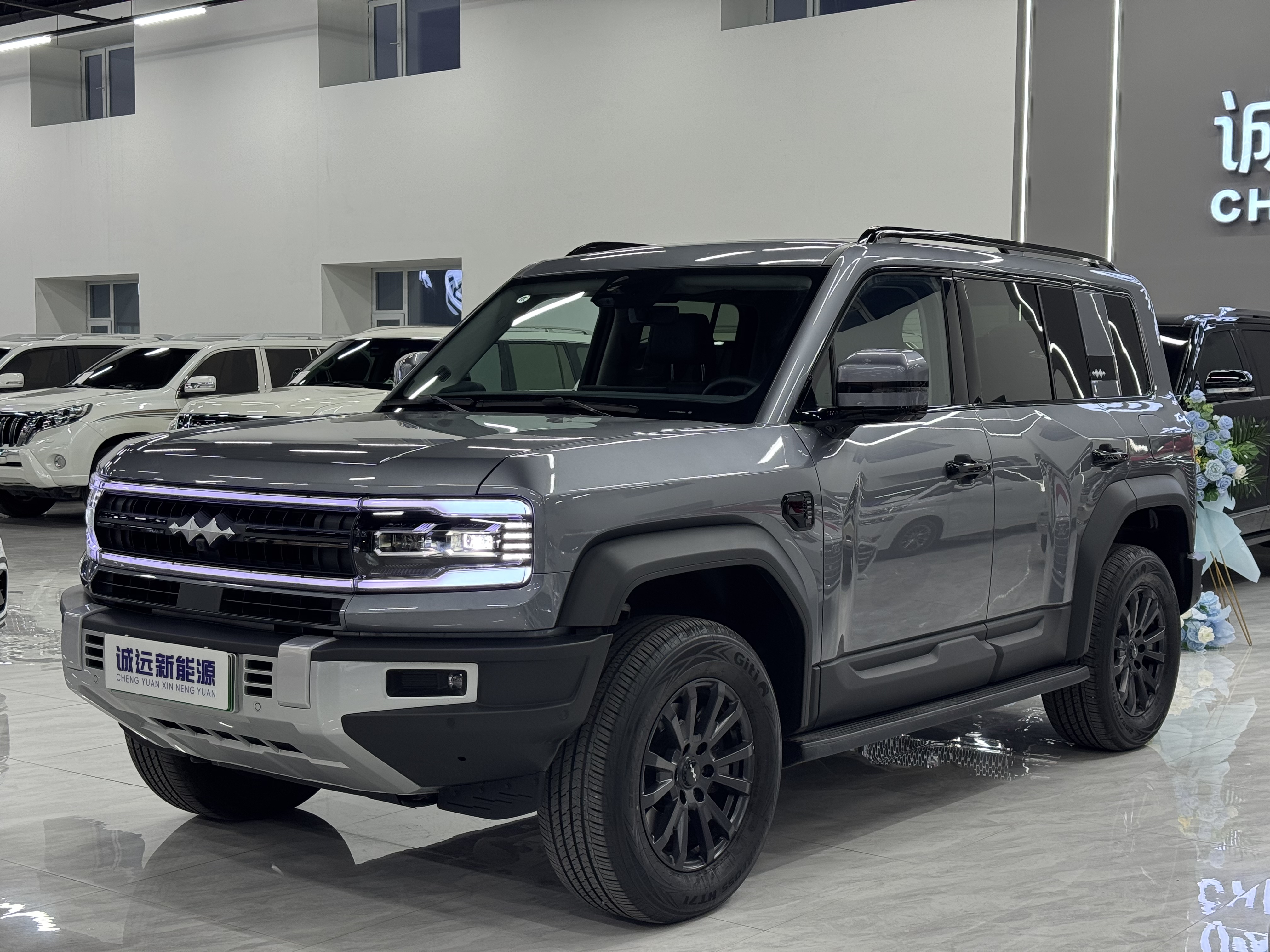 FangChengBao Leopard 5 2025 car image 