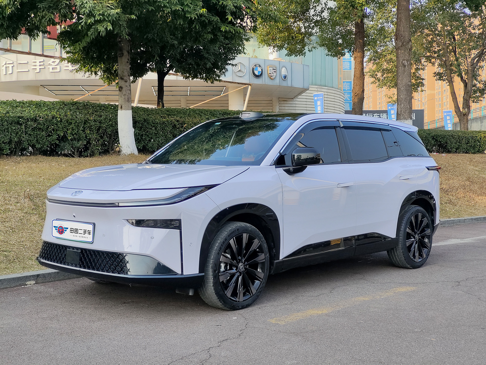 Toyota Bozhi 3X 2025 汽车图片 