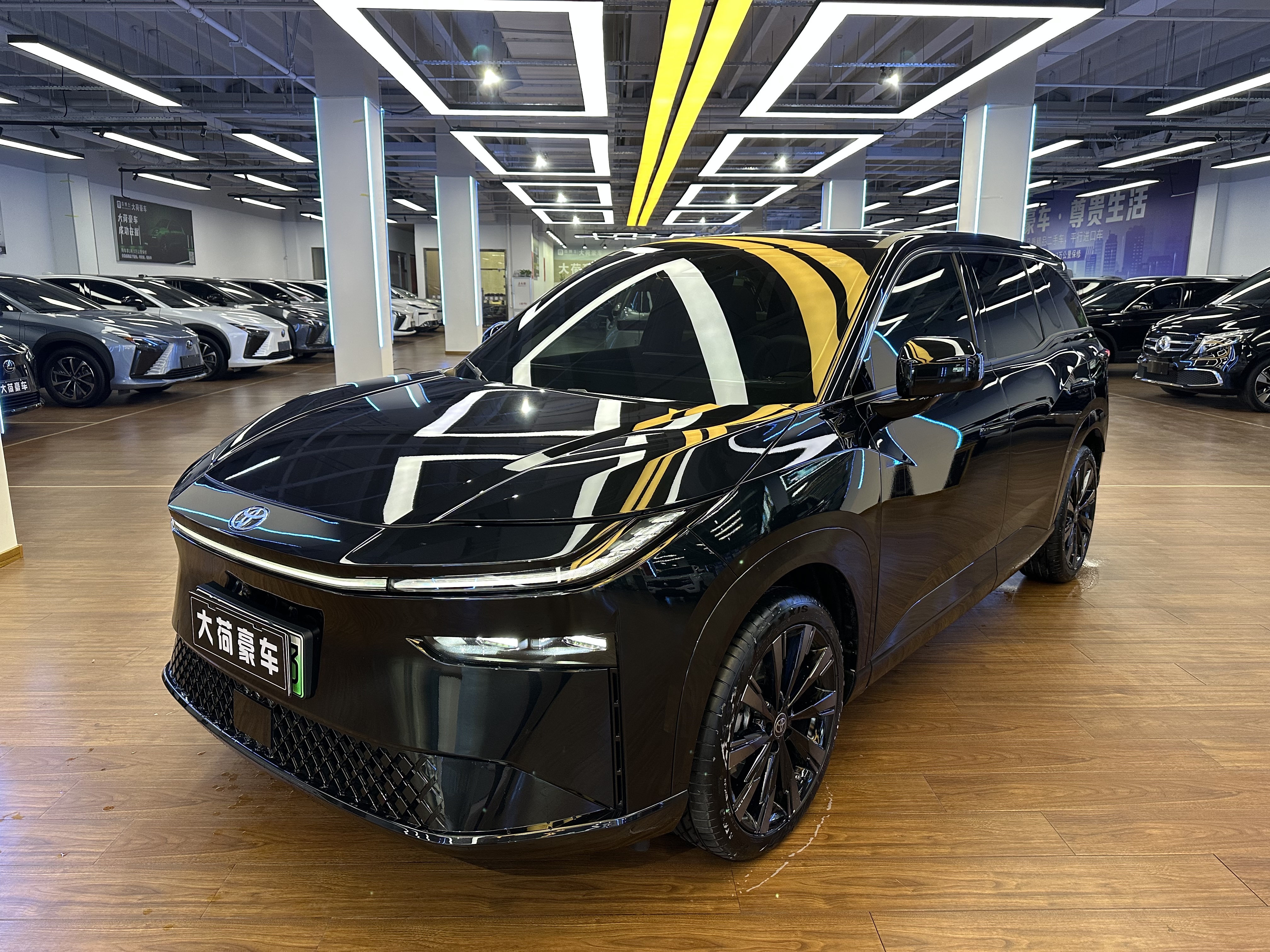 Toyota Bozhi 3X 2025 汽车图片 