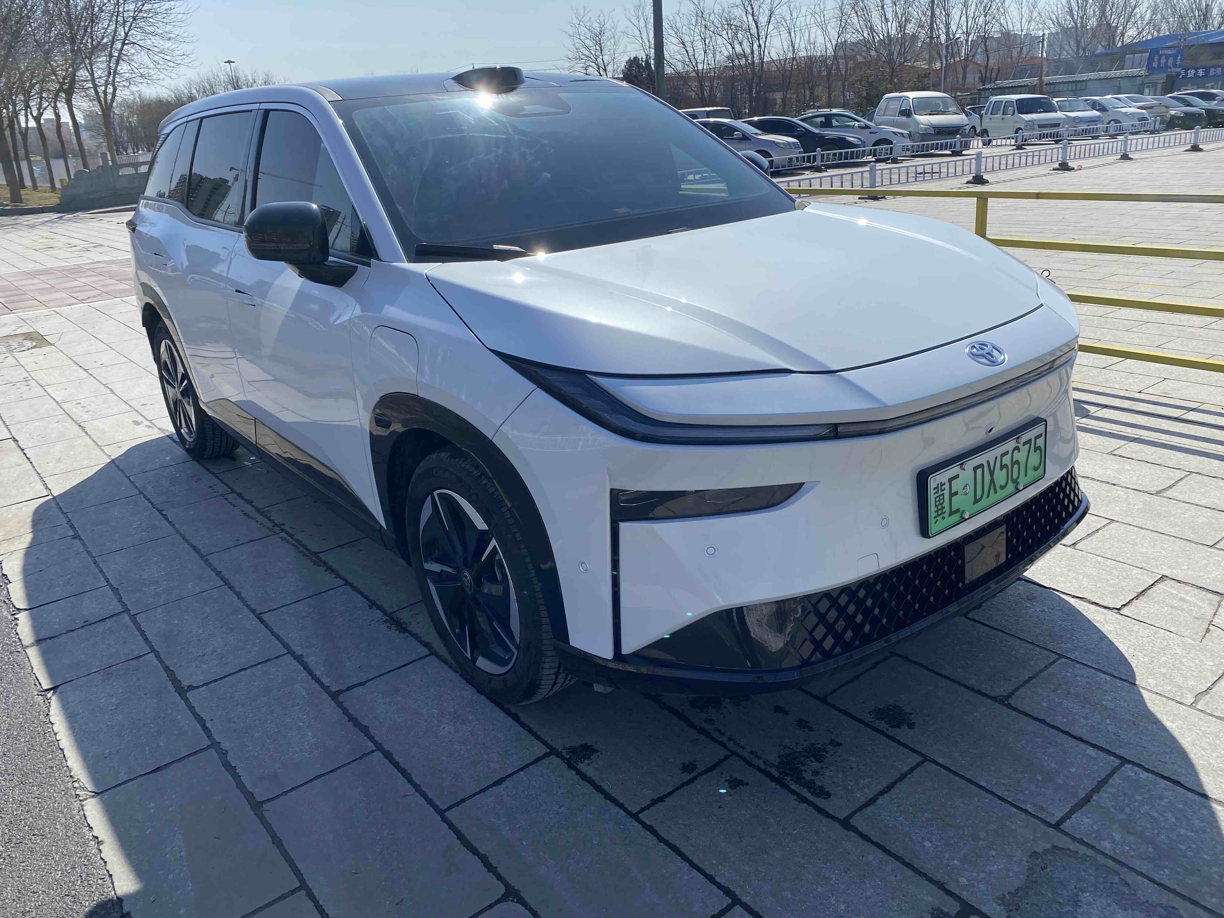 Toyota Bozhi 3X 2025 汽车图片 