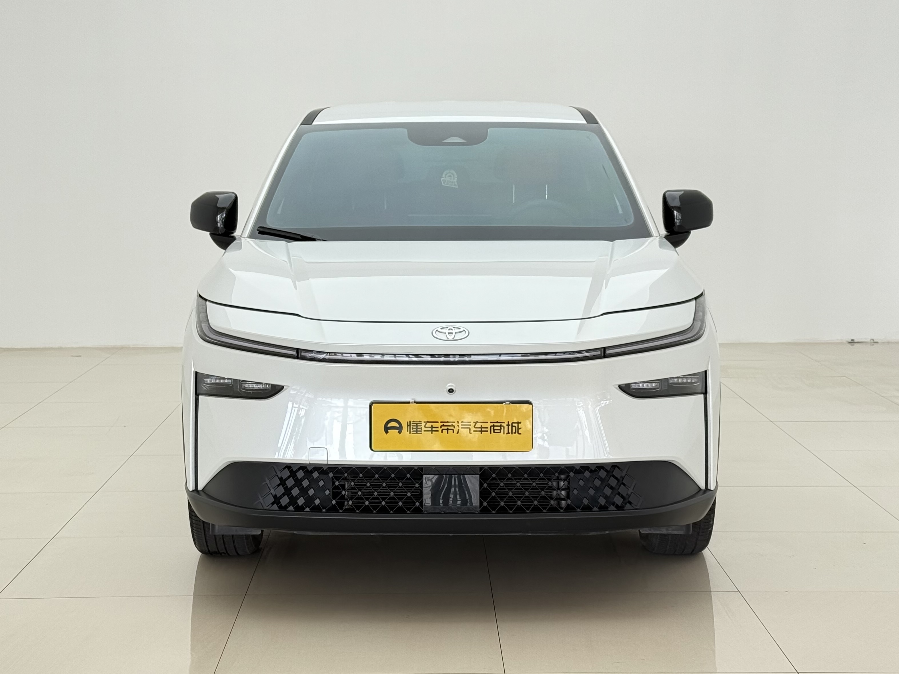 Toyota Bozhi 3X 2025 汽车图片 