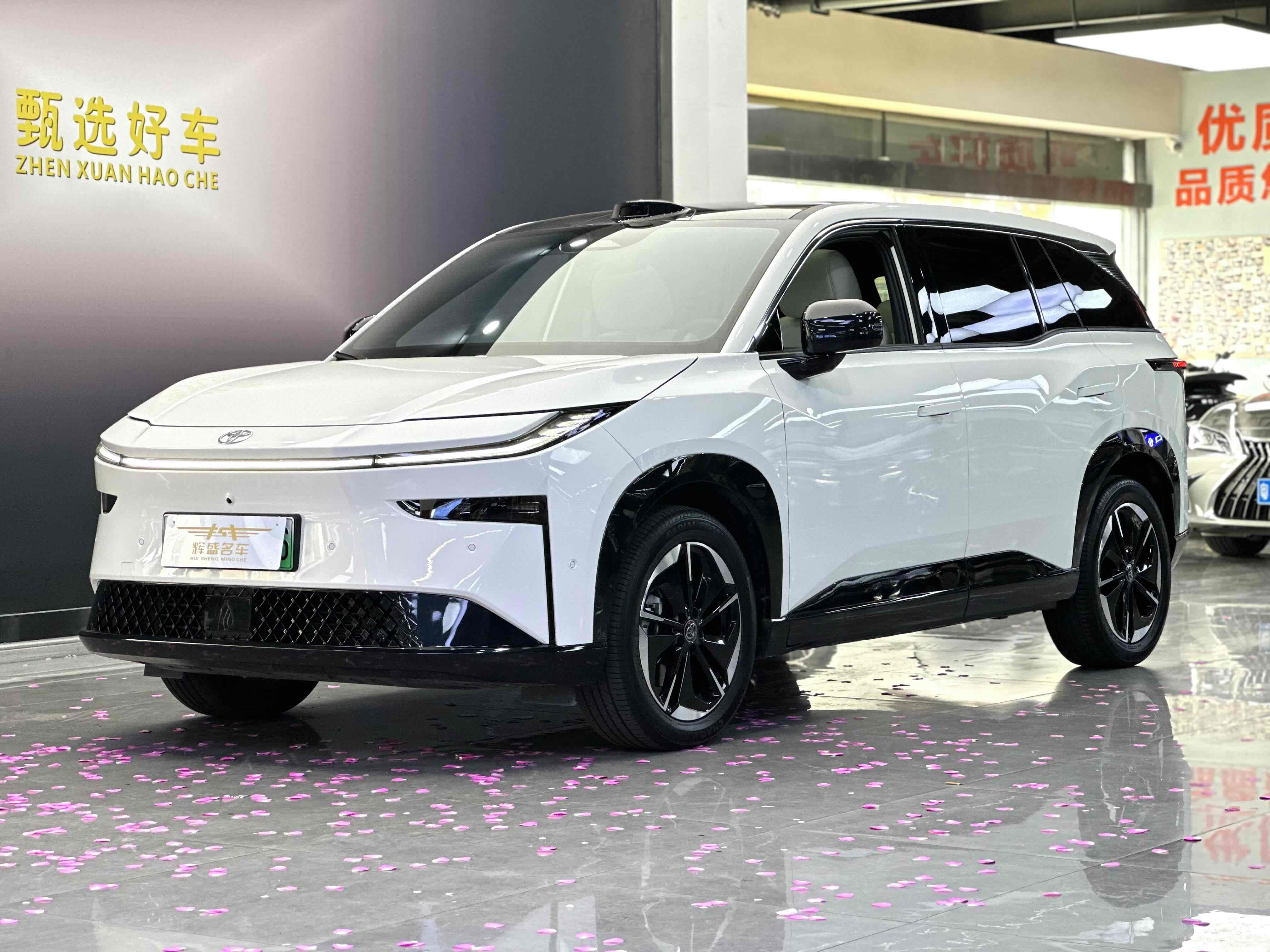 Toyota Bozhi 3X 2025 汽车图片 