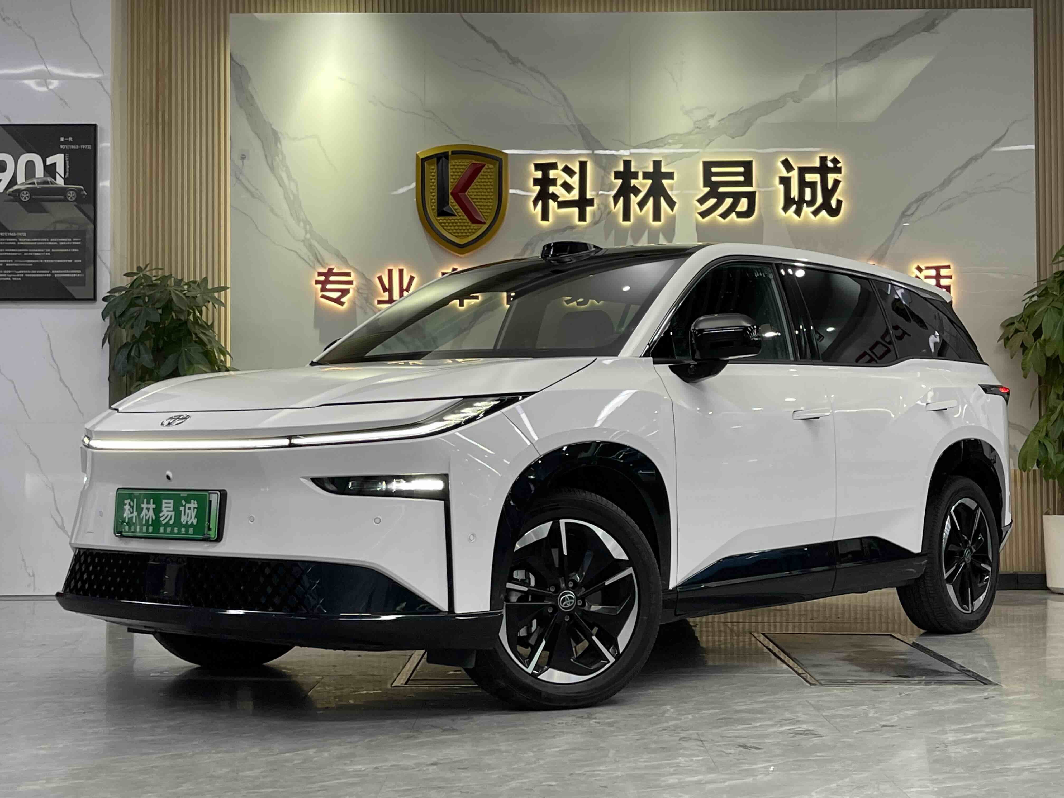 Toyota Bozhi 3X 2025 汽车图片 