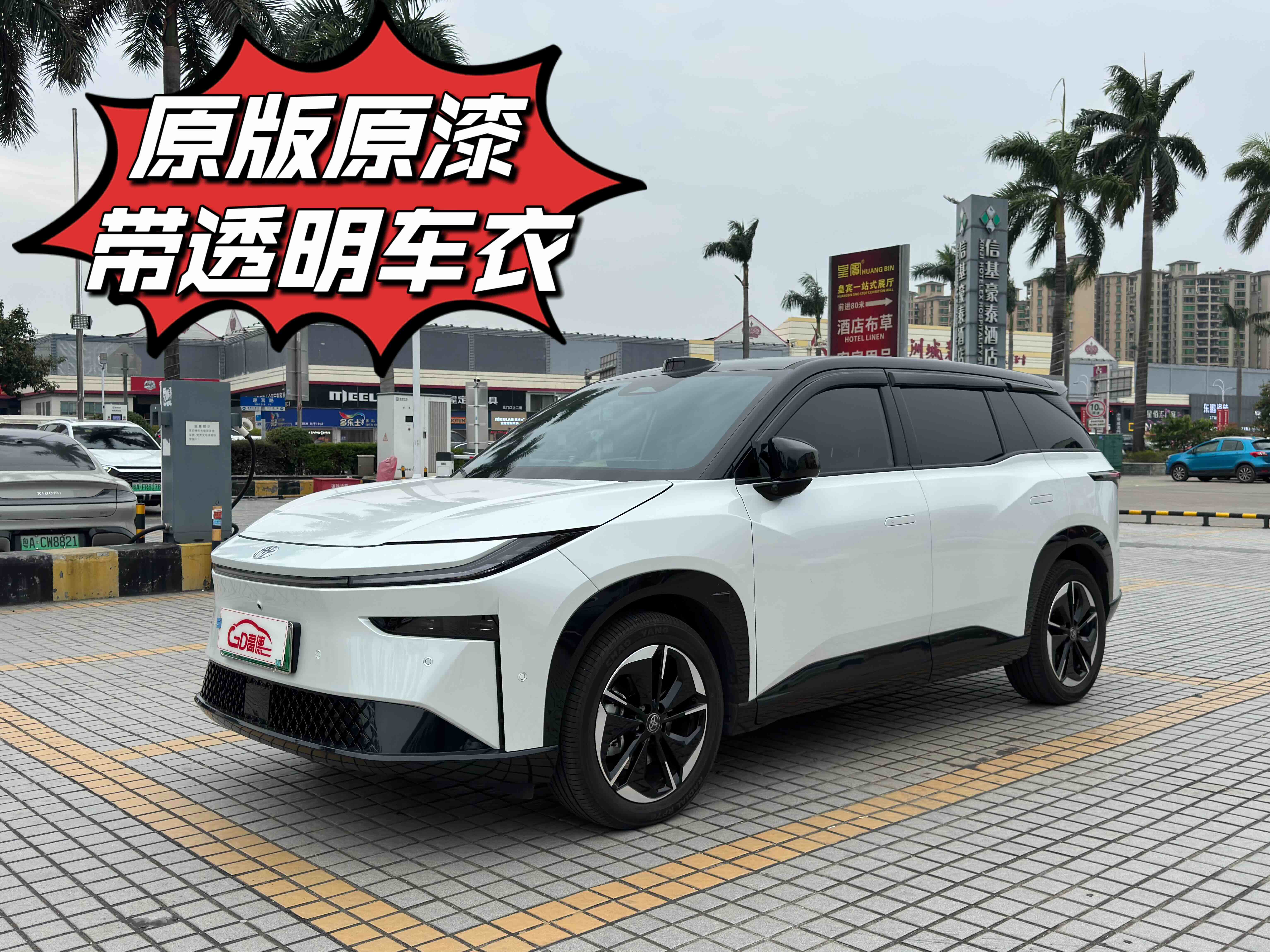 Toyota Bozhi 3X 2025 汽车图片 