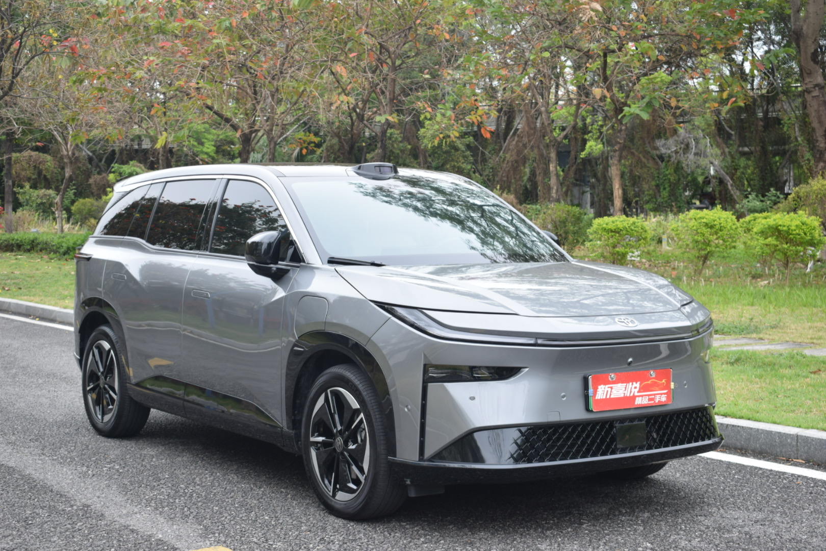 Toyota Bozhi 3X 2025 汽车图片 