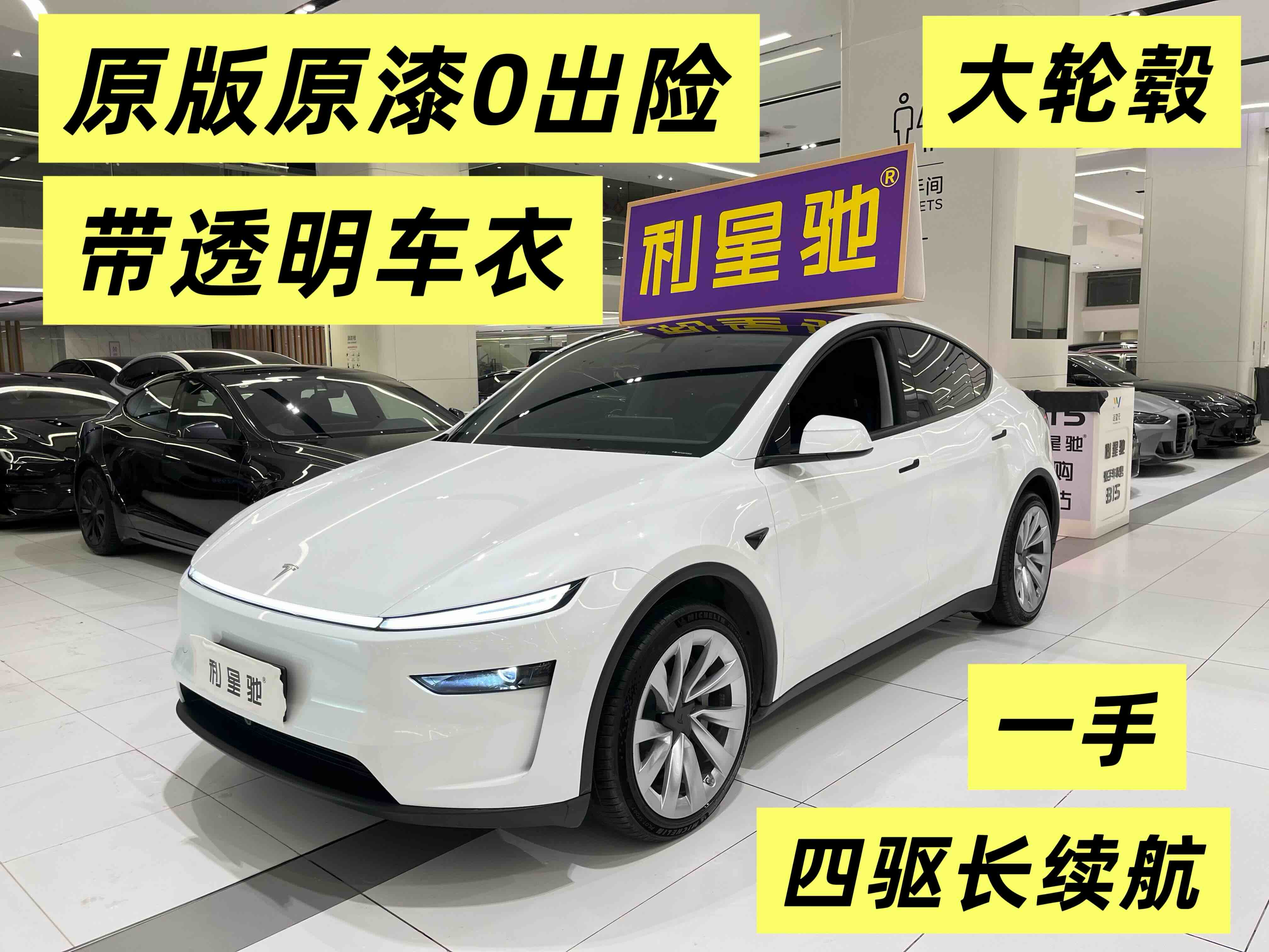 Tesla Model Y 2025 汽车图片 