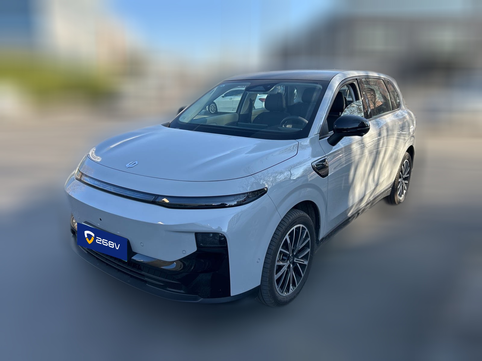 Leapmotor B10 2025 汽车图片 