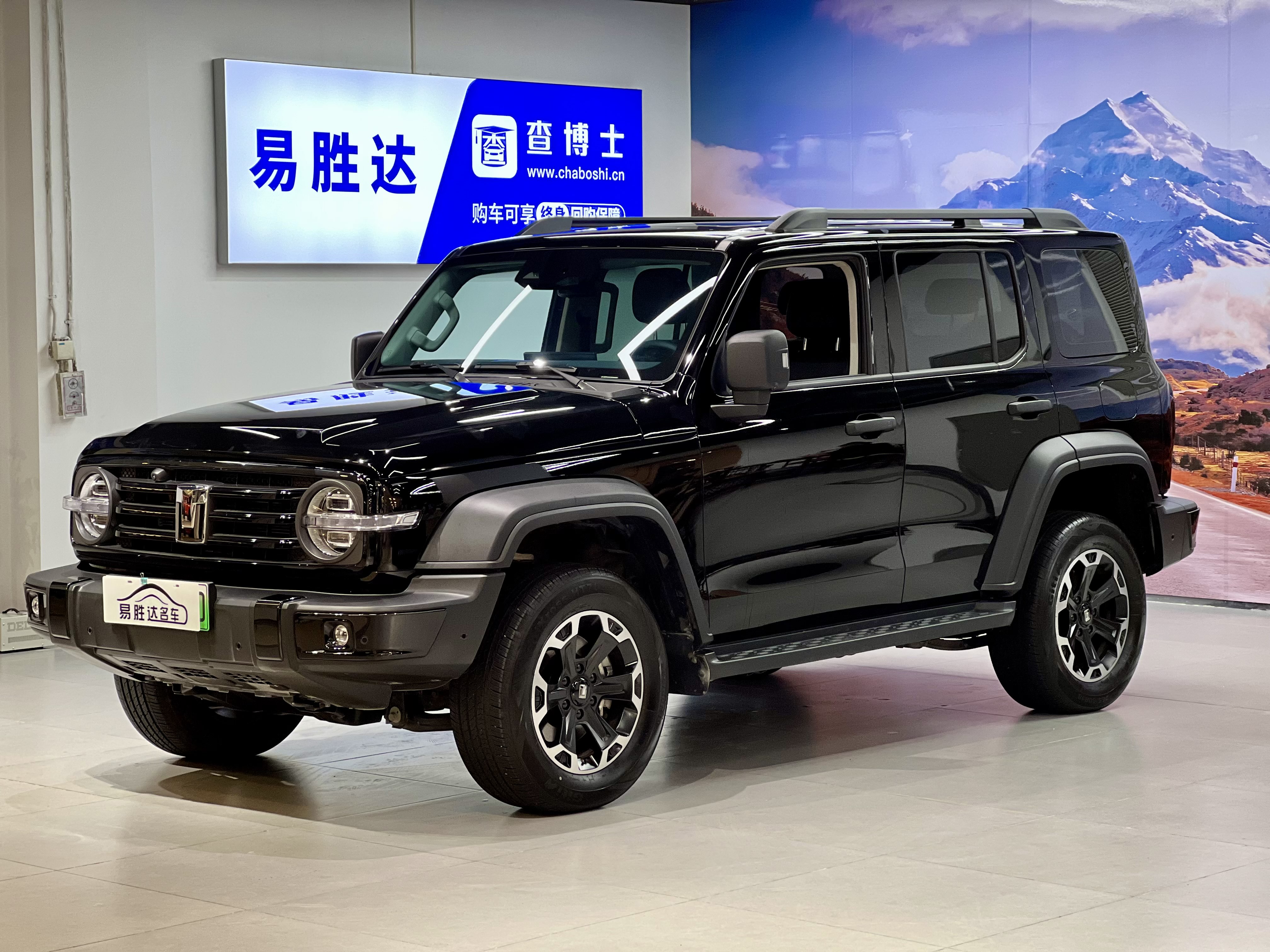 Tank 300 New Energy 2025 car image 