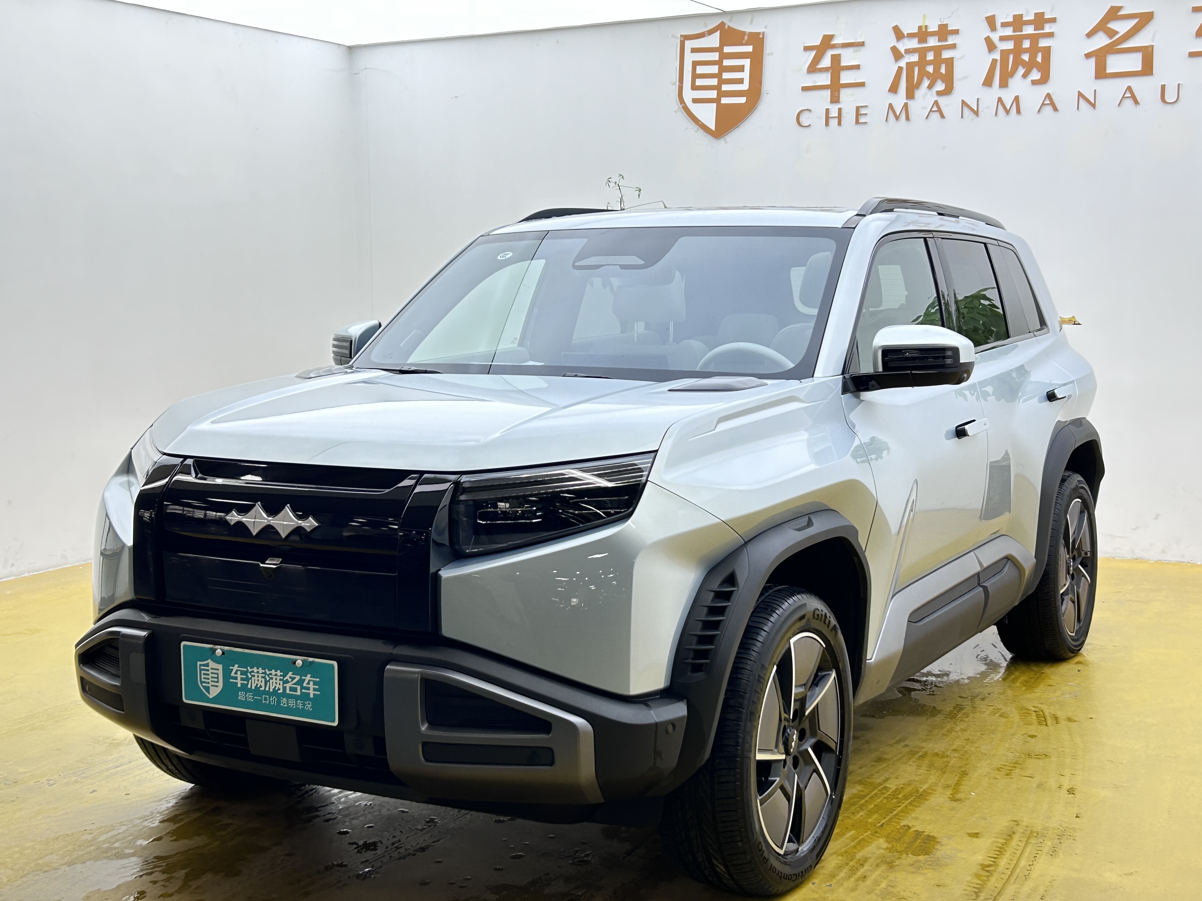 FangChengBao Tiger 3 2025 car image 